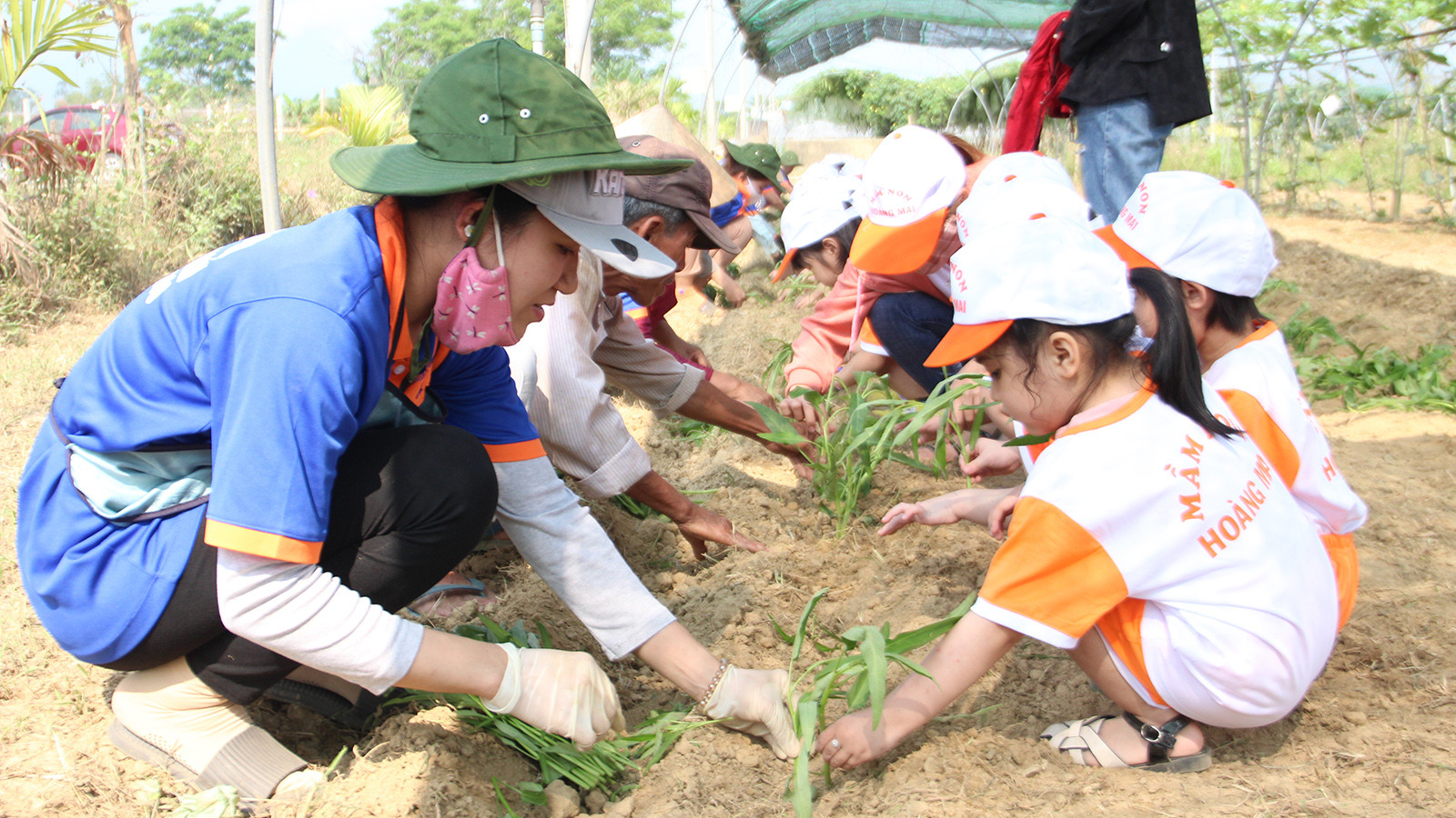 [Ảnh] Hợp tác xã rau an toàn Túy Loan gắn kết nông dân và nỗ lực vươn mình ảnh 7