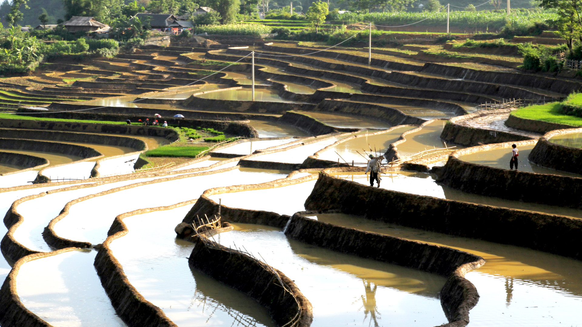 Ruộng bậc thang là hình thức canh tác trên đất dốc quen thuộc của đồng bào vùng cao Lai Châu.