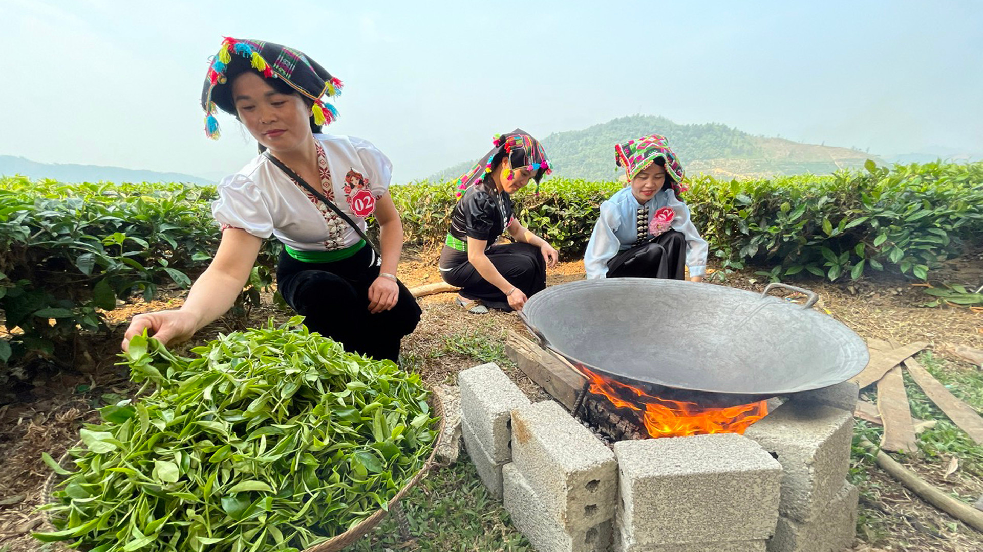 Chuẩn bị sao chè.