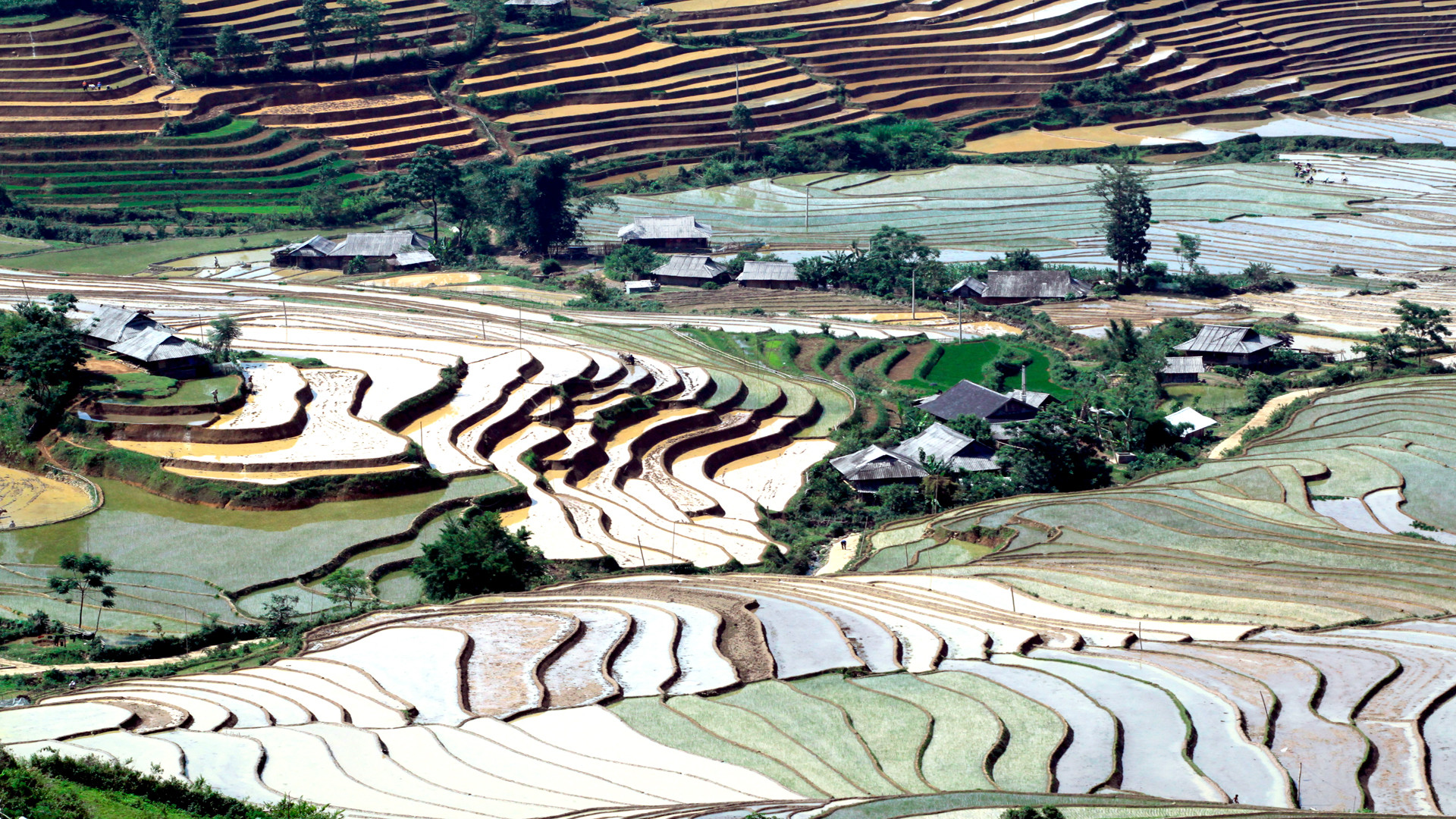 Những ngôi nhà truyền thống của đồng bào nằm xen lẫn những thửa ruộng bậc thang, đây là nơi lưu giữ nhiều nét văn hóa nông nghiệp riêng biệt của vùng cao Tây Bắc.