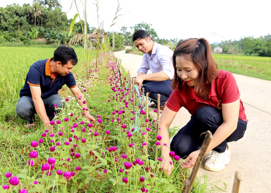 Đường hoa tạo diện mạo mới cho xã nông thôn mới Quang Minh, huyện Bắc Quang. (Ảnh: Thu Phương)