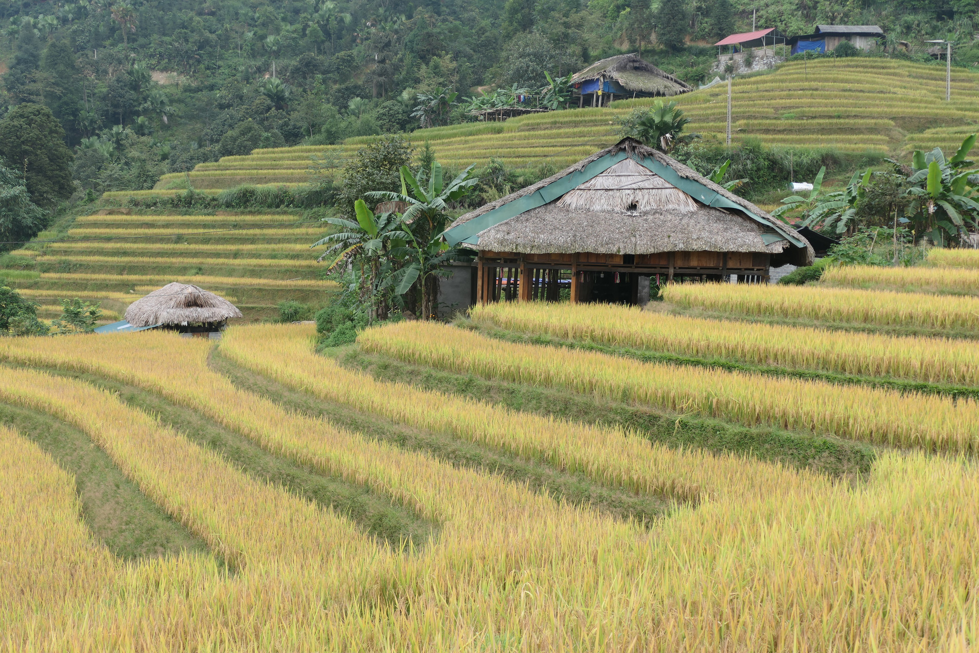 Bộ mặt nông thôn vùng cao có nhiều khởi sắc nhưng vẫn giữ những giá trị truyền thống. Bộ mặt nông thôn vùng cao có nhiều khởi sắc nhưng vẫn giữ những giá trị truyền thống.