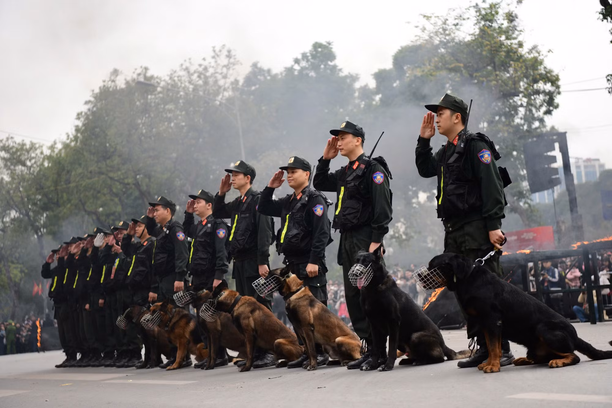 Những màn biểu diễn mãn nhãn của lực lượng kỵ binh và cảnh khuyển, với kỹ thuật điêu luyện và sự phối hợp nhịp nhàng trong các hoạt động biểu diễn.