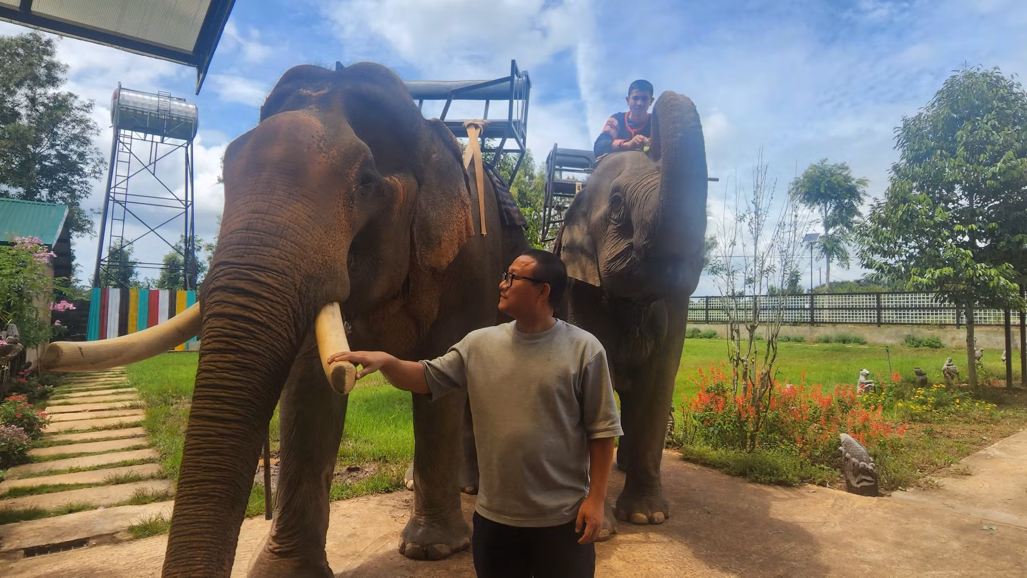 Tác giả bên chú voi đực Khăm Sen tại nhà của vua voi Đàng Năng Long. Năm nay, Khăm Sen cũng đã gần 40 tuổi.