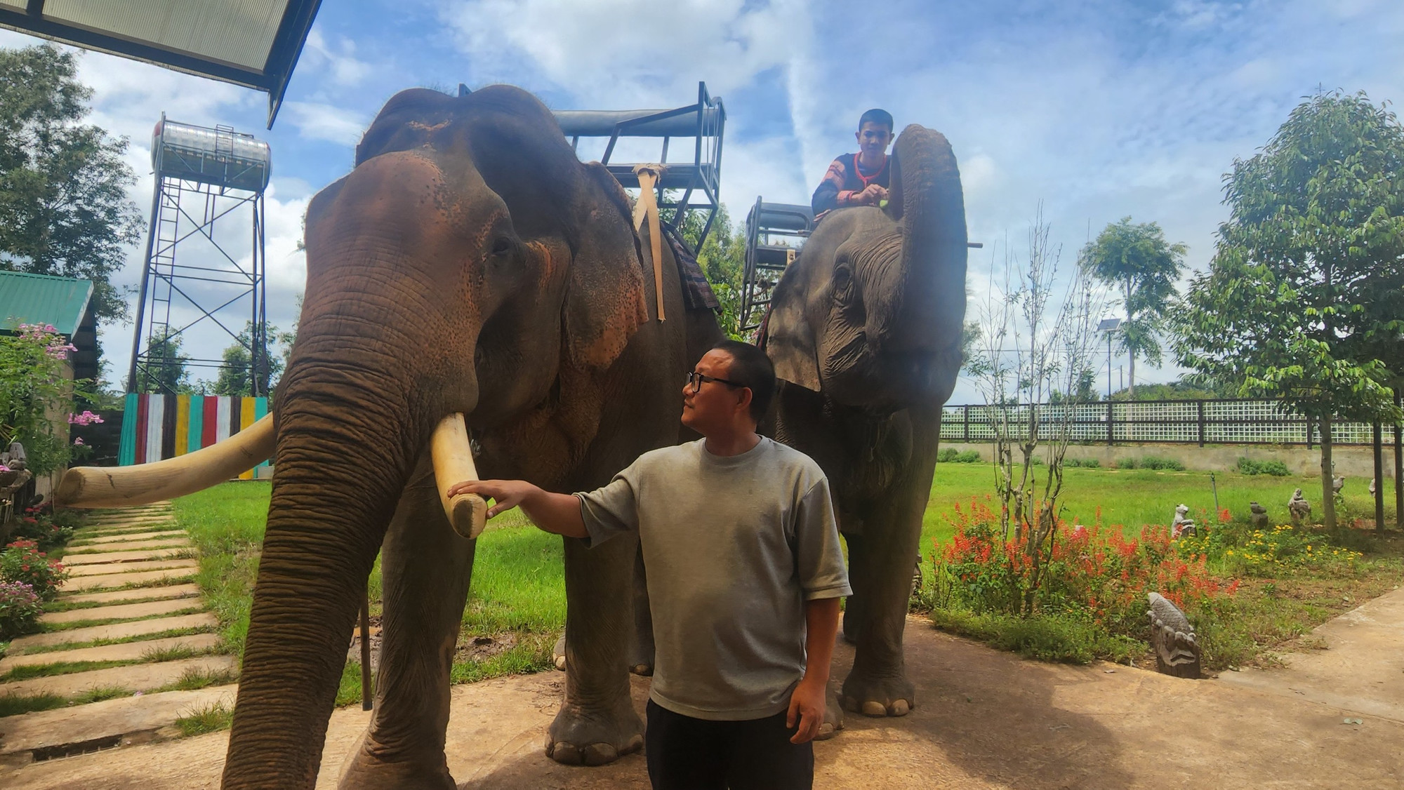 Tác giả bên chú voi đực Khăm Sen tại nhà của vua voi Đàng Năng Long. Năm nay, Khăm Sen cũng đã gần 40 tuổi.