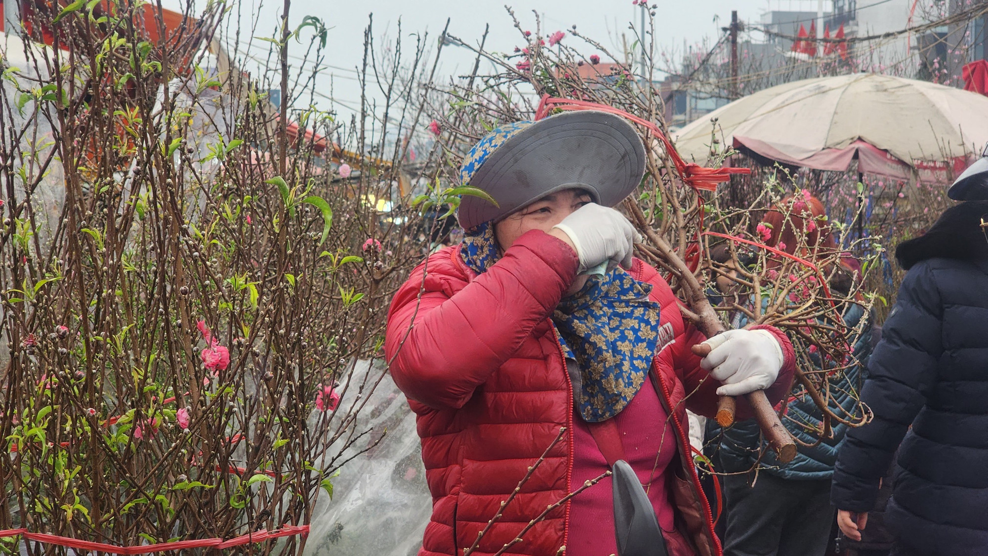 Mặc dù nhộn nhịp, nhưng nhiều tiểu thương cho hay, so với trước đây, nhu cầu mua của người dân chưa thực sự cao. Nhiều người chủ yếu tới hỏi mà chưa mua. Điều này khiến không ít người bán tỏ ra lo lắng.