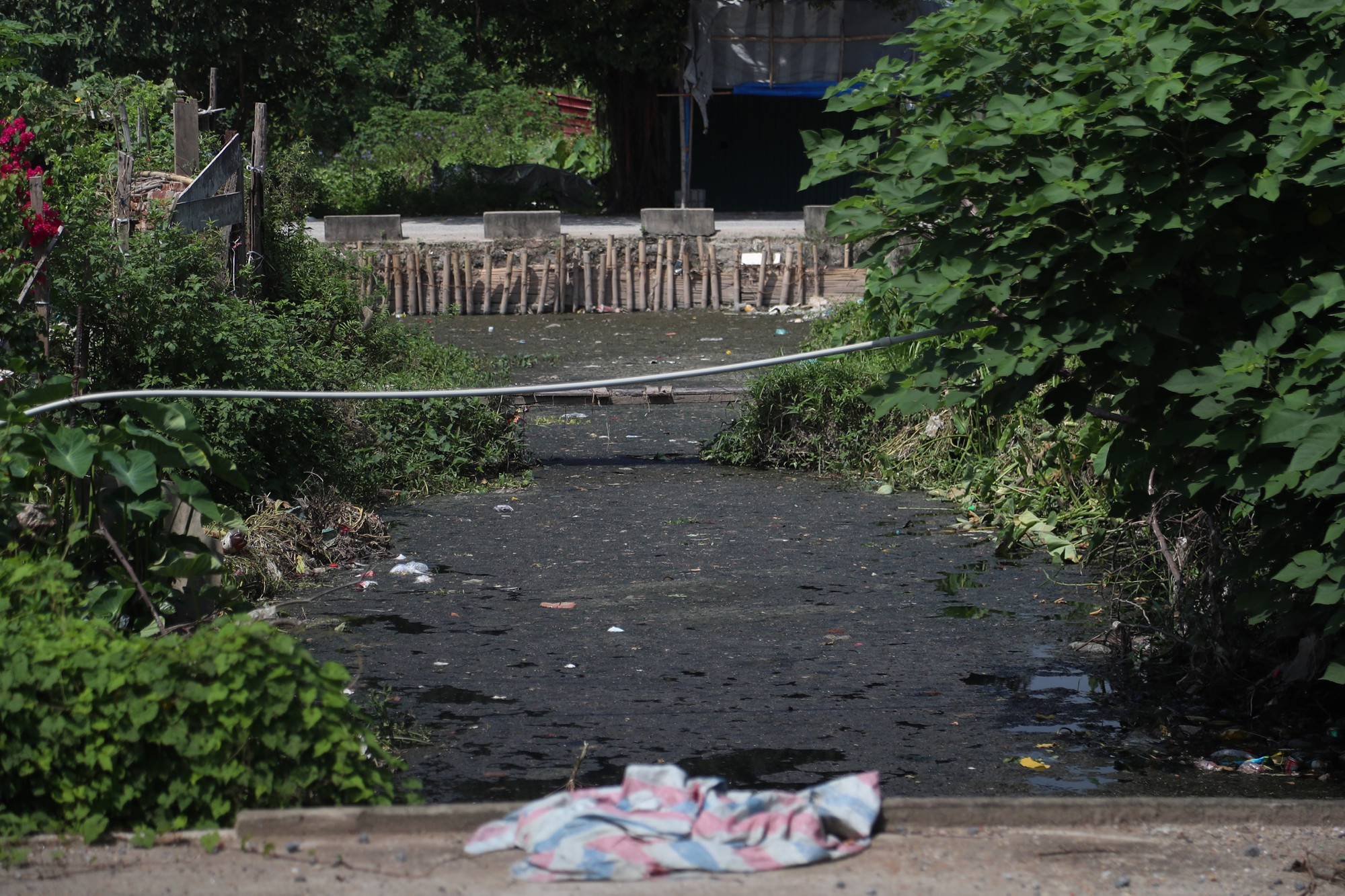 Cận cảnh dòng kênh đen ô nhiễm tại xã Vĩnh Quỳnh, huyện Thanh Trì, Hà Nội.