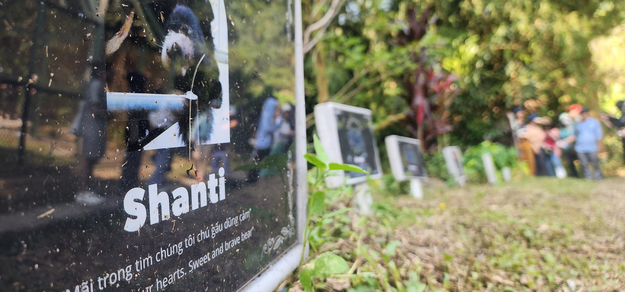 "Mãi trong tim chúng tôi, chú gấu dũng cảm". Tấm bia mộ dành cho gấu Shanti tại Nghĩa địa gấu Tam Đảo. (Ảnh: Sơn Bách)