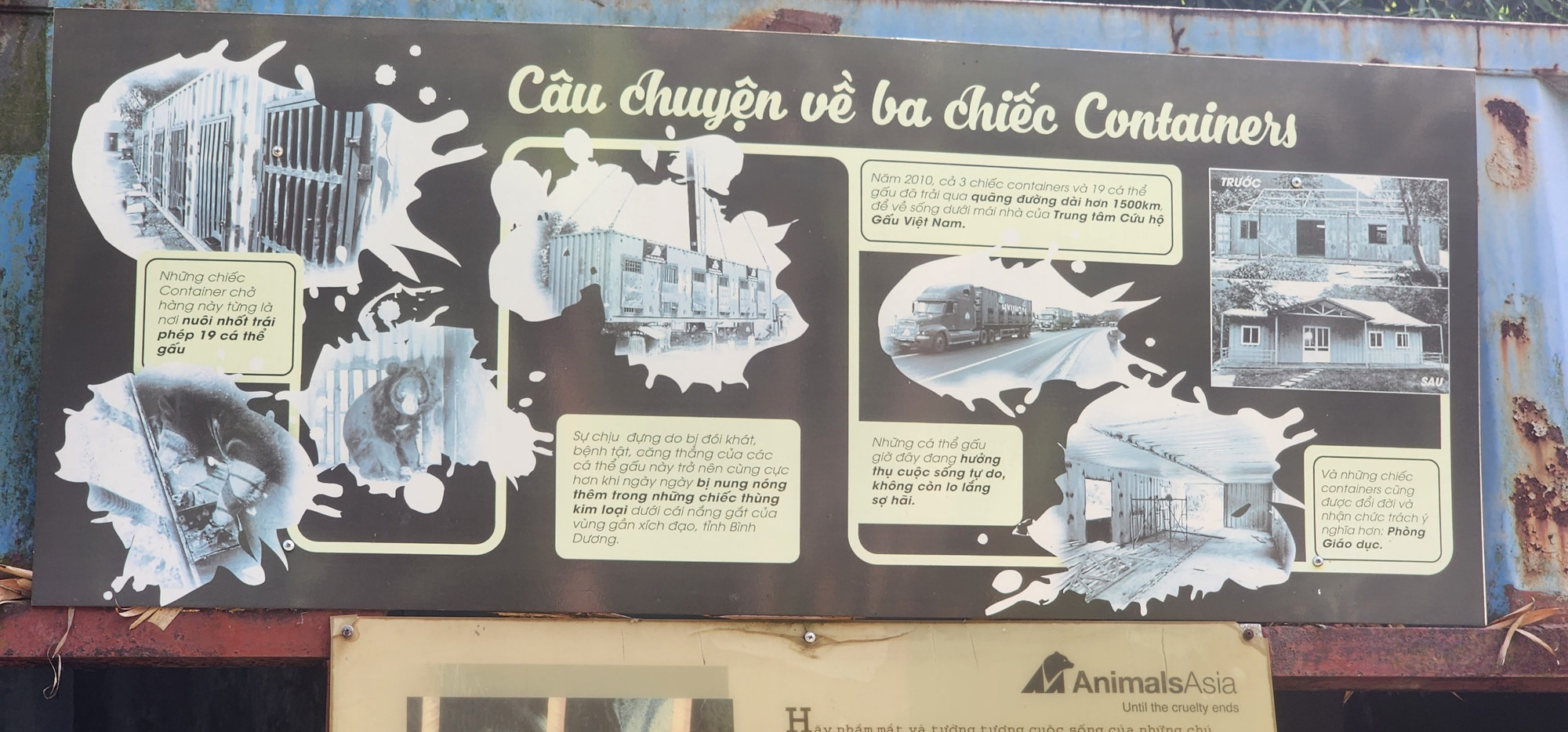 Những chiếc container vốn là "nhà tù của gấu" được giữ lại như công cụ giáo dục trực quan ghi lại sự tàn ác của một số người với gấu. (Ảnh: Sơn Bách)