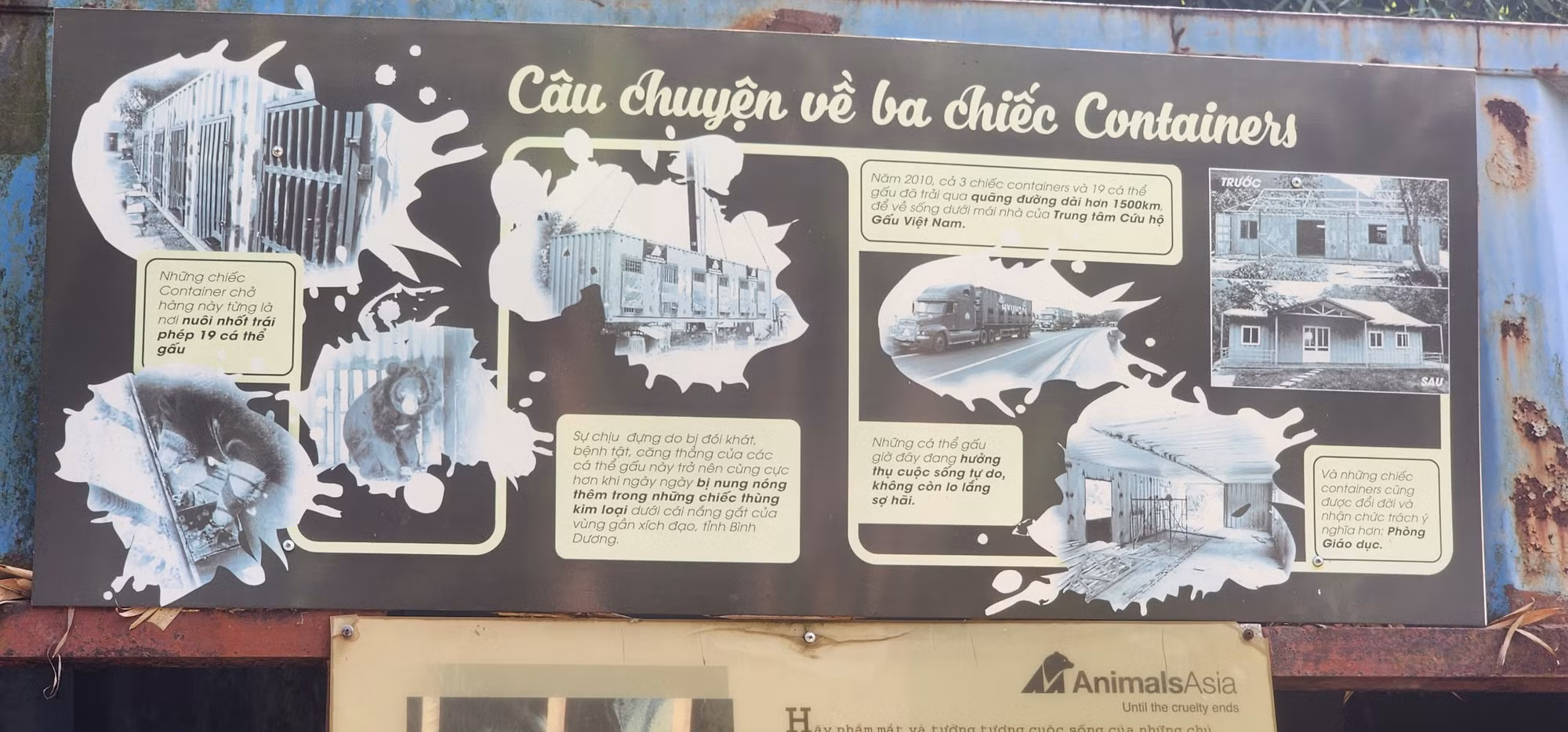 Những chiếc container vốn là "nhà tù của gấu" được giữ lại như công cụ giáo dục trực quan ghi lại sự tàn ác của một số người với gấu. (Ảnh: Sơn Bách)