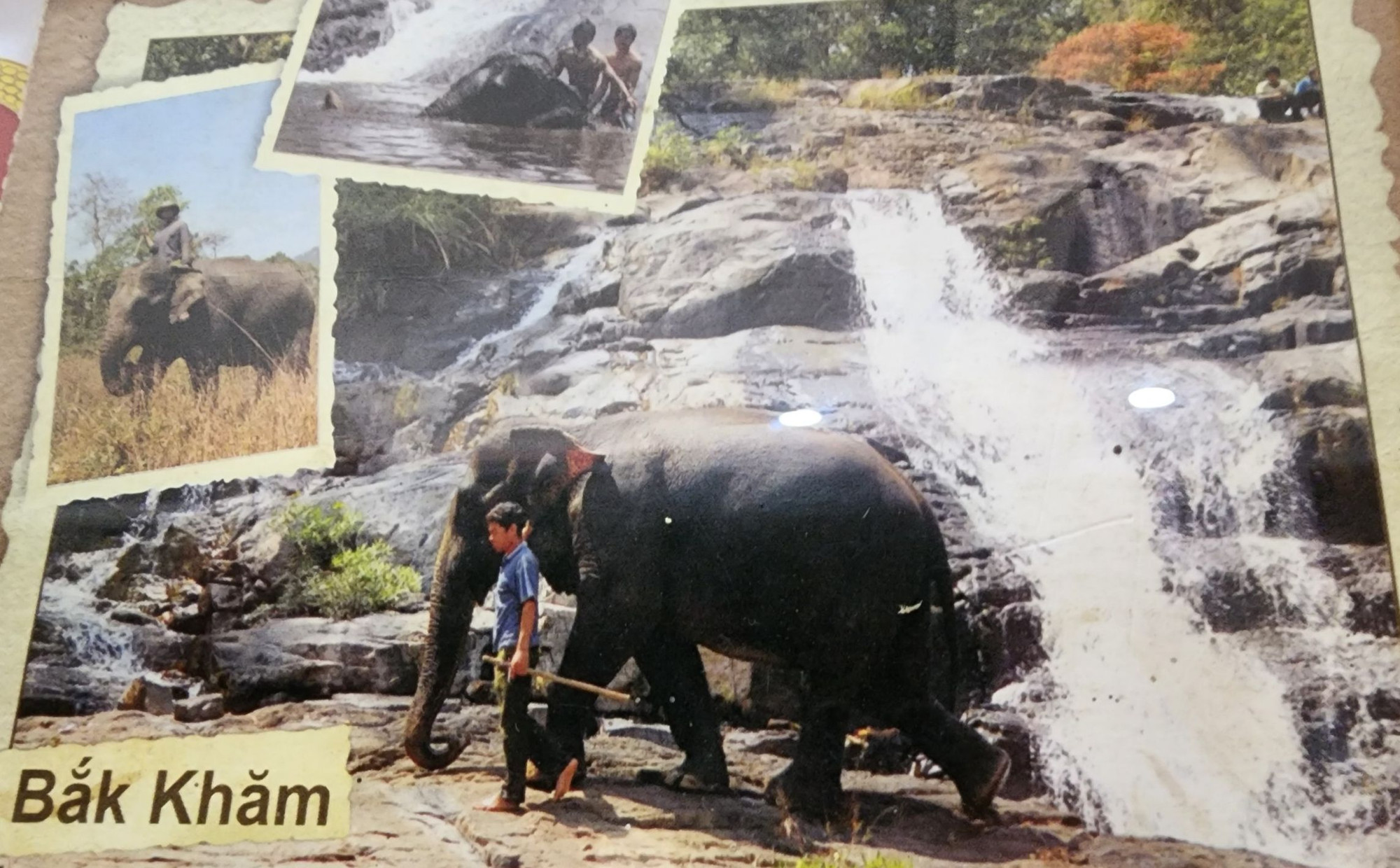 Nài voi Y Thanh Uông bên chú voi cái Băk Khăm, một trong 3 chú voi nhà đã mang theo tại Đắk Lắk. (Ảnh: Nhân vật cung cấp)