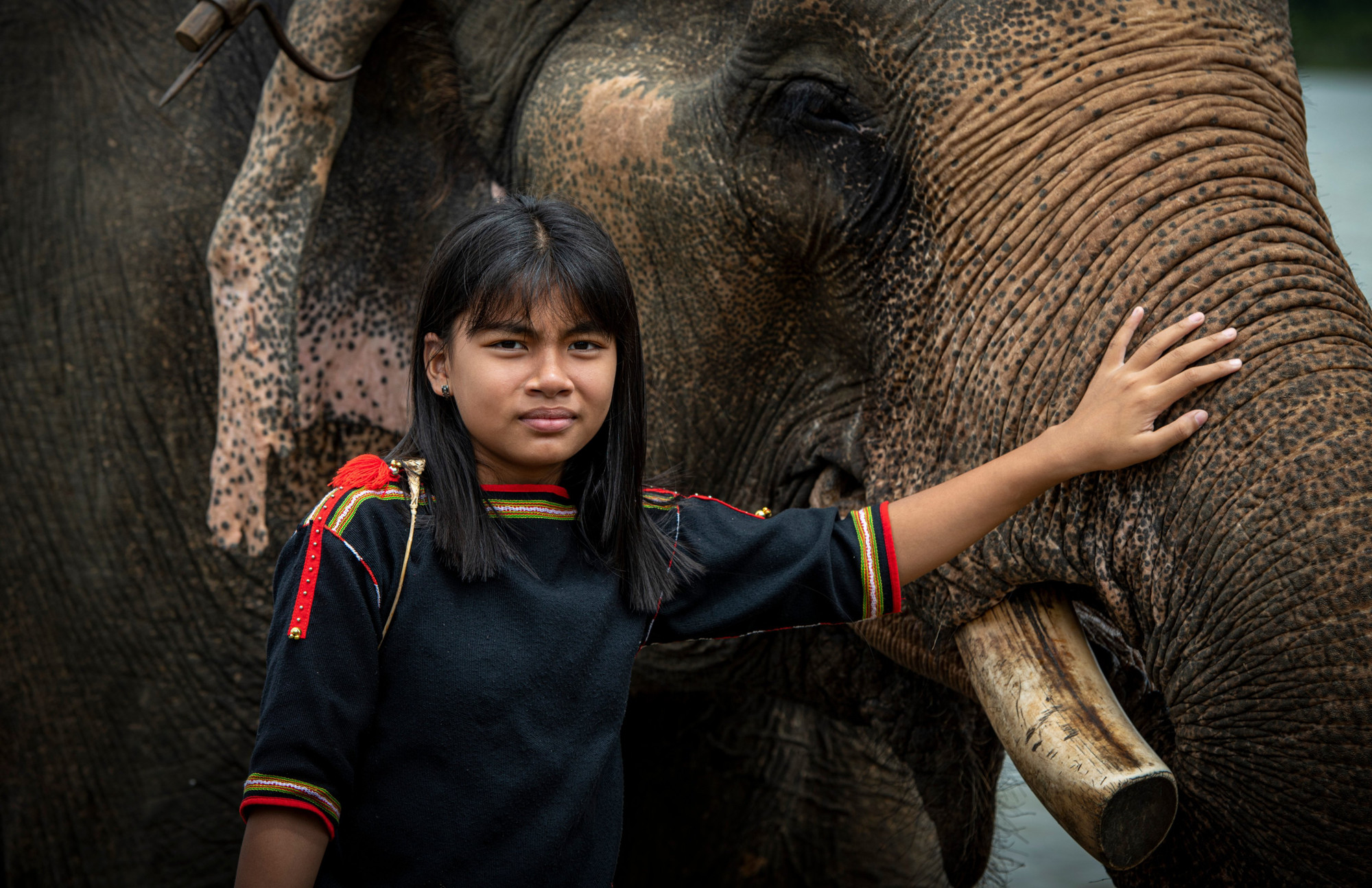 Với đồng bào các dân tộc Tây Nguyên, voi là biểu tượng của sự trù phú, đồng thời cũng là người bạn vô cùng thân thiết.
