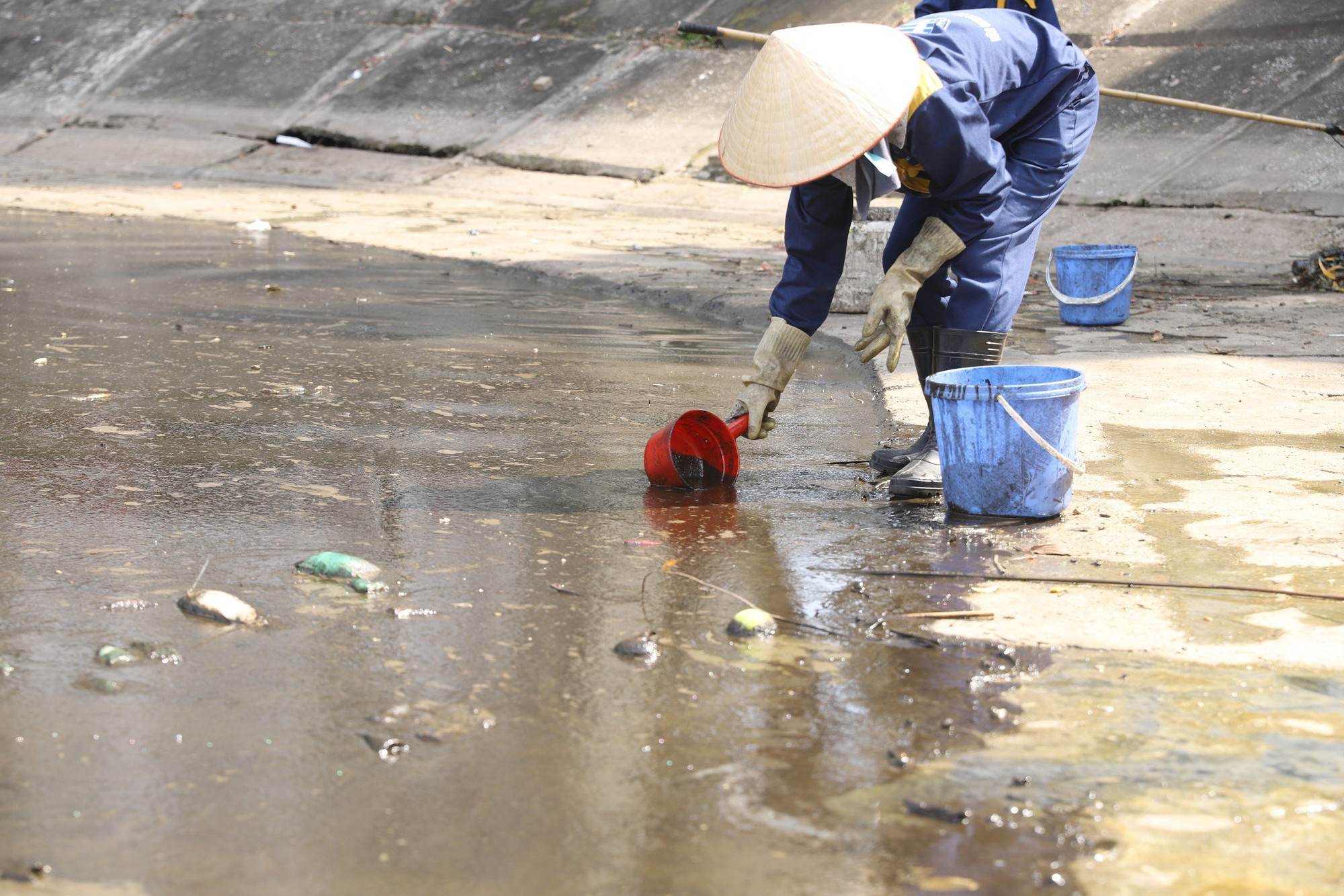 Sau khi thu gom, toàn bộ số dầu thải sẽ được đưa về xử lý theo đúng quy định để bảo đảm an toàn.
