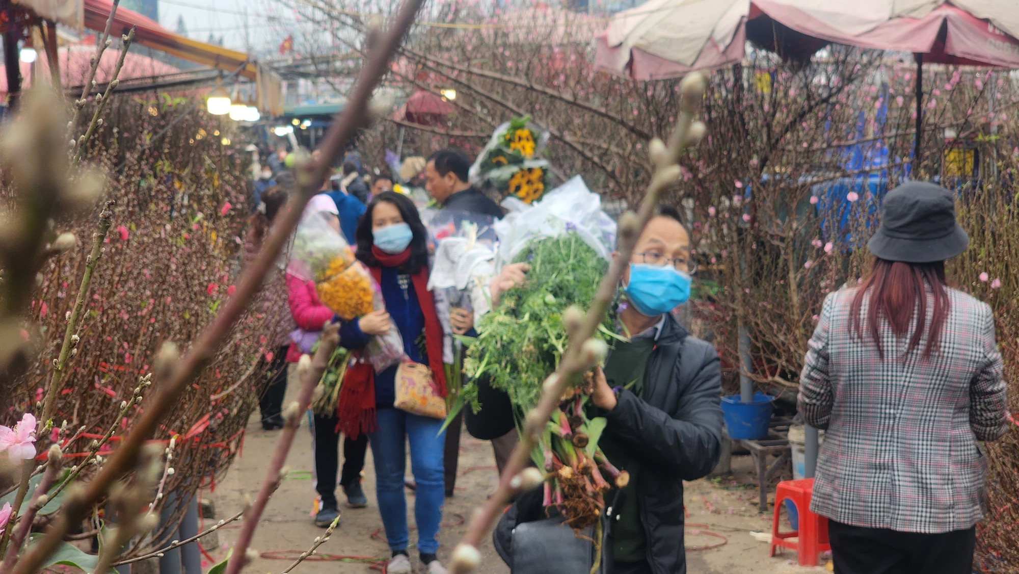 Một góc chợ hoa Quảng Bá chiều 29 Tết.