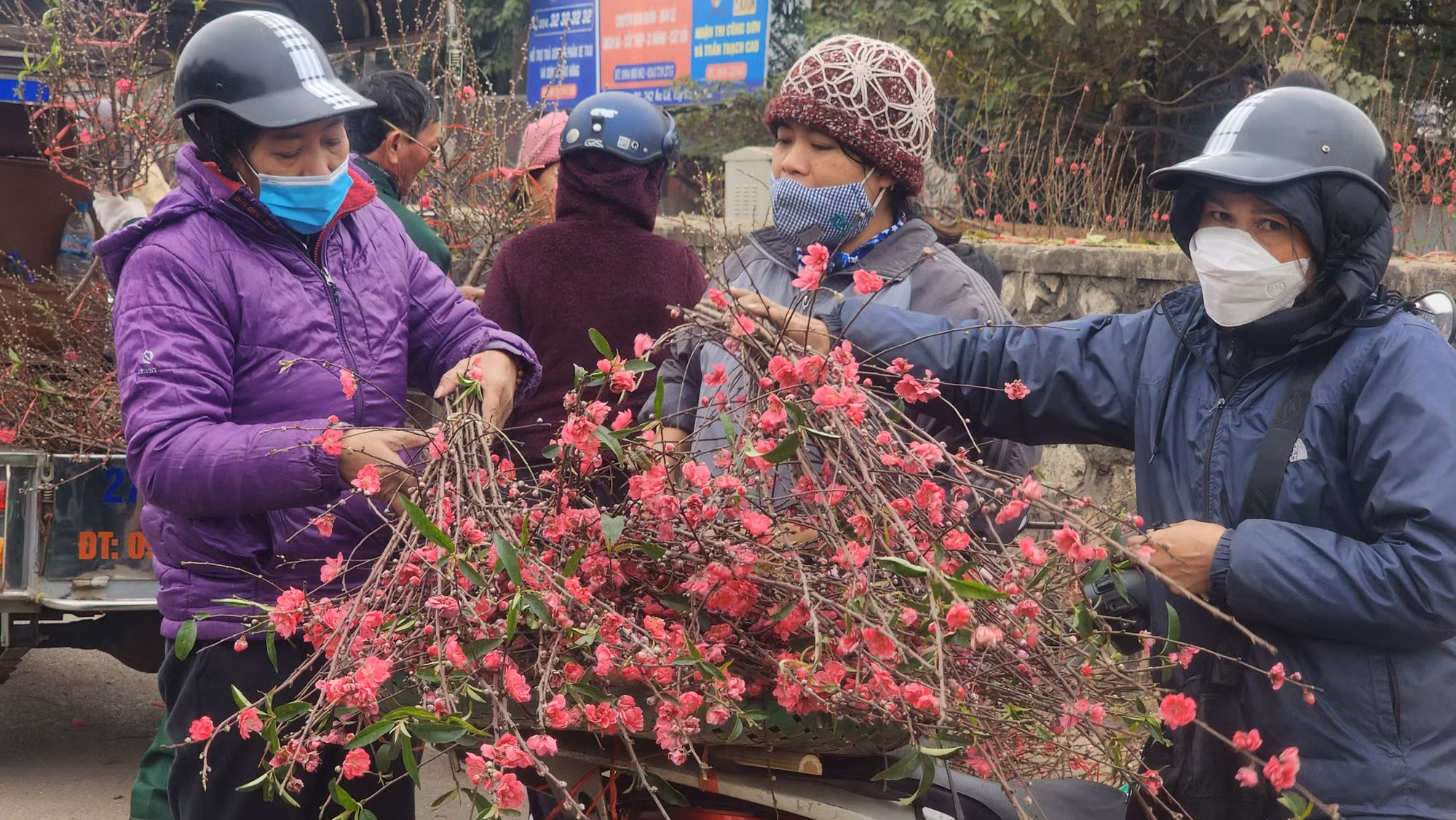 Đào Nhật Tân, Phú Thượng chính là những "đặc sản" không thể bỏ qua khi tới với chợ hoa Quảng Bá mỗi dịp Tết về. Vài năm trở lại đây, thay vì chơi cả cây, người Hà Nội ưa chuộng đào cành.