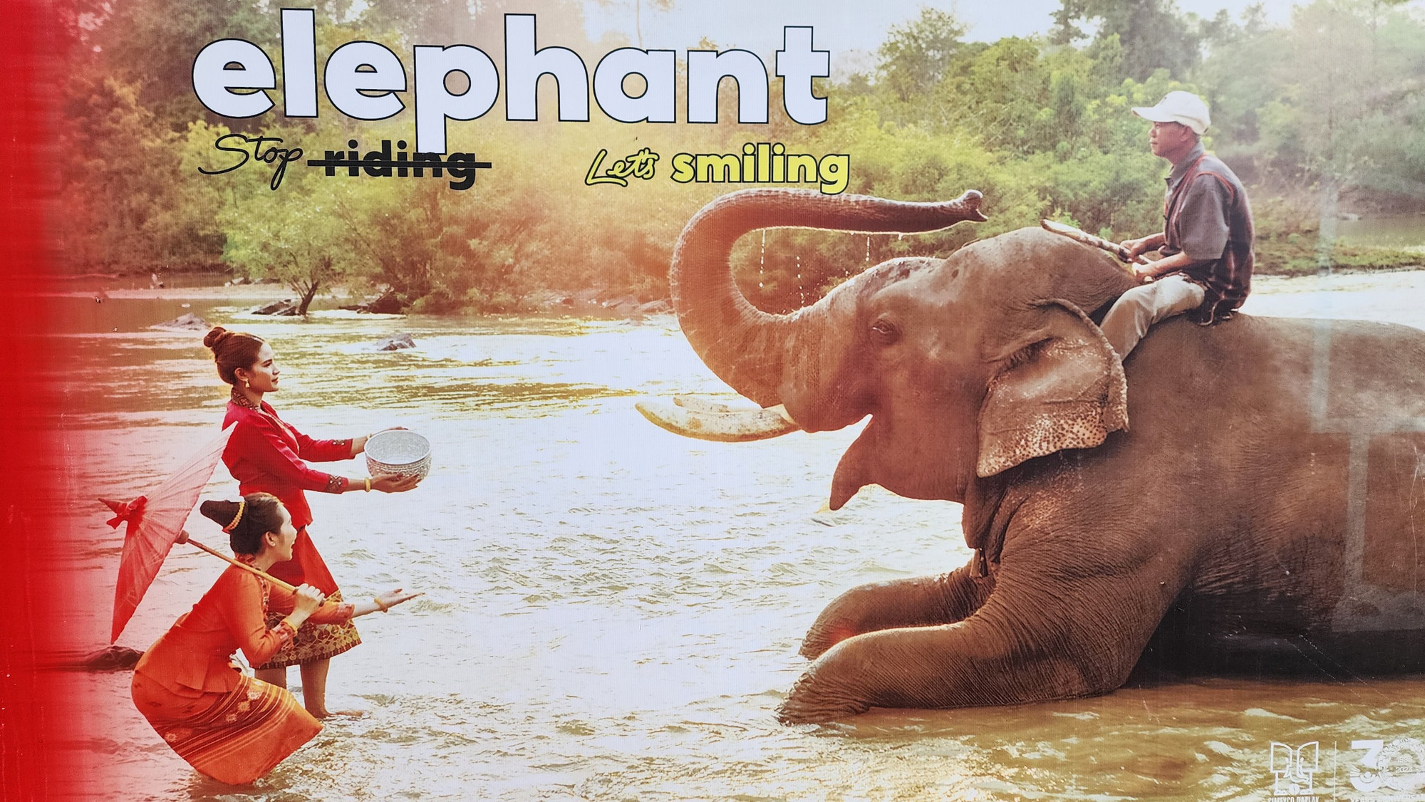 Tấm áp-phích treo tại Khu du lịch Bản Đôn kêu gọi du khách hãy cười với voi thay vì cưỡi voi.