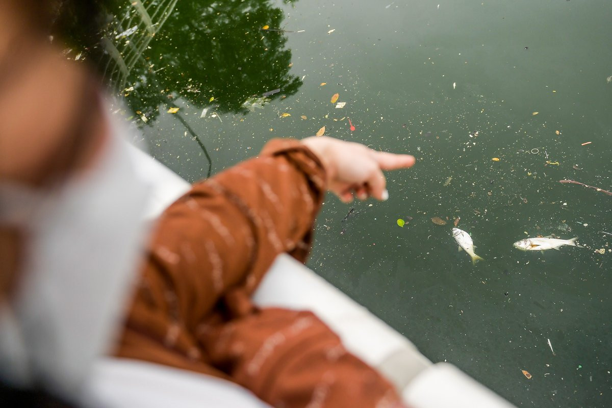 Anh Phan Quang, một người dân sống tại ngõ Võng Thị gần hồ cho hay, hiện tượng cá hồ Tây chết thường xuất hiện trong những ngày thời tiết bất thường, có sự chênh lệch nhiệt độ lớn giữa ngày và đêm.