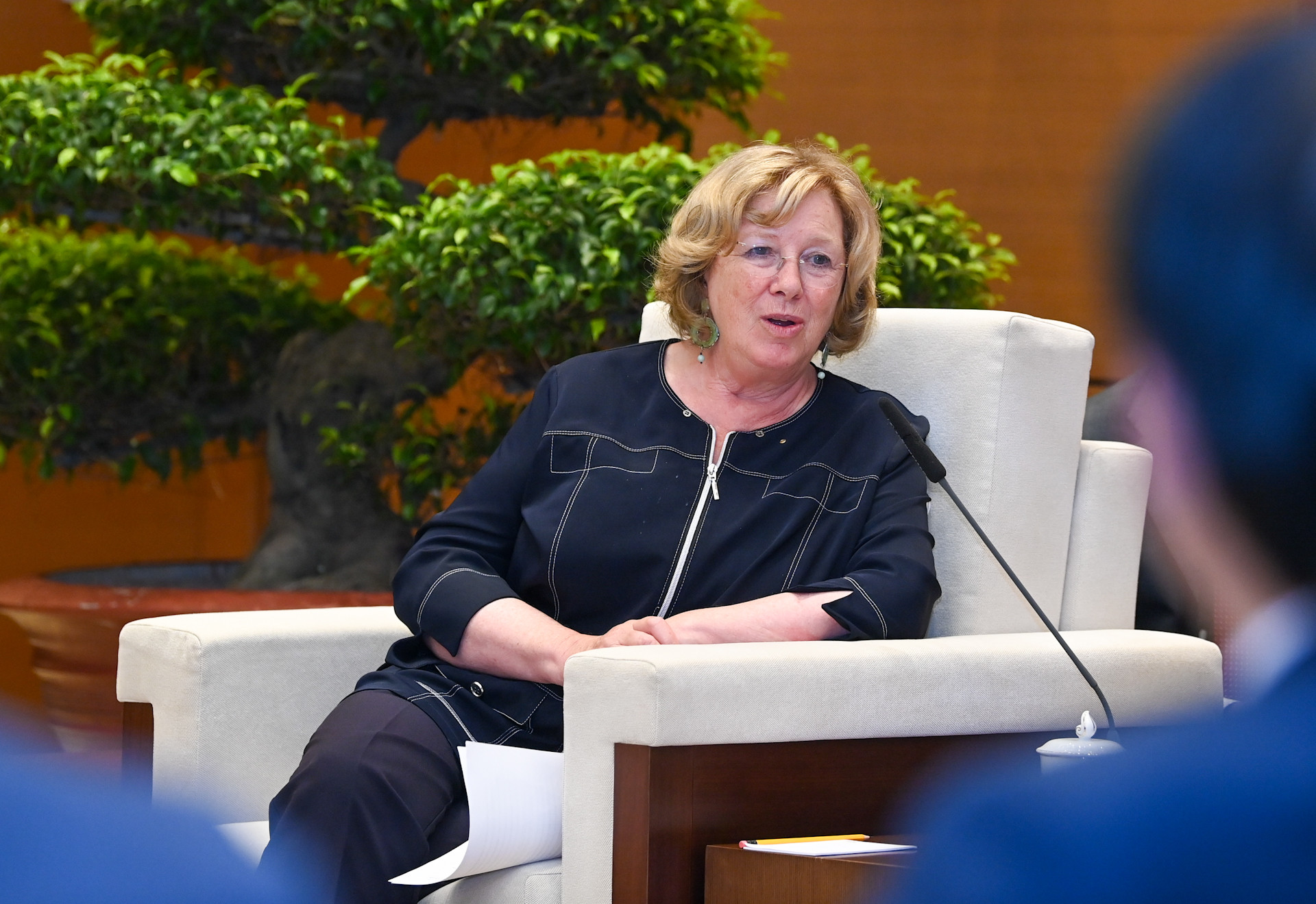 Chủ tịch Nhóm Nghị sĩ hữu nghị Pháp-Việt Nam Catherine Deroche phát biểu tại buổi tiếp. Chủ tịch Nhóm Nghị sĩ hữu nghị Pháp-Việt Nam Catherine Deroche phát biểu tại buổi tiếp.