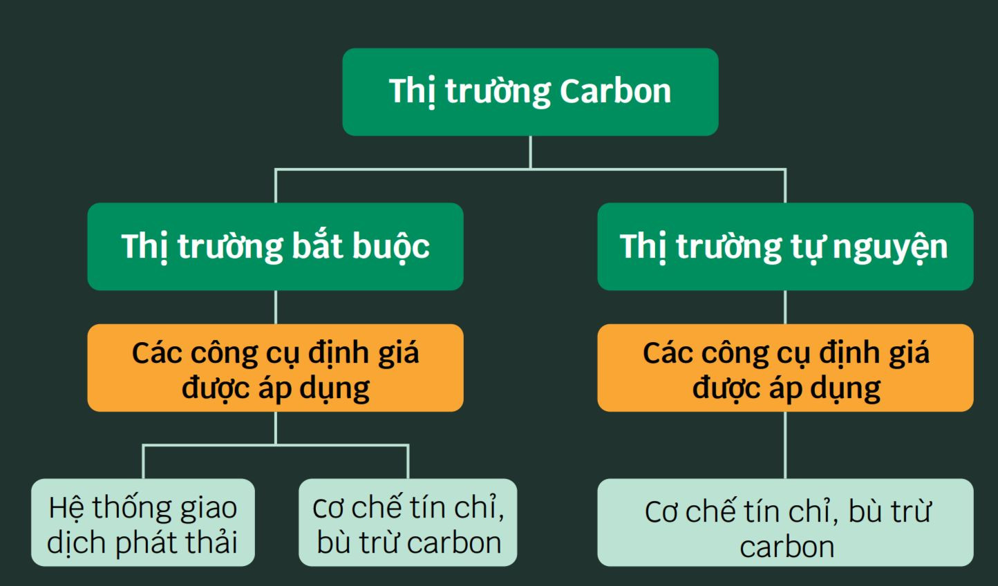Các cơ chế định giá carbon được áp dụng trong hai loại thị trường carbon. (Đồ họa: Trịnh Nam Phong)