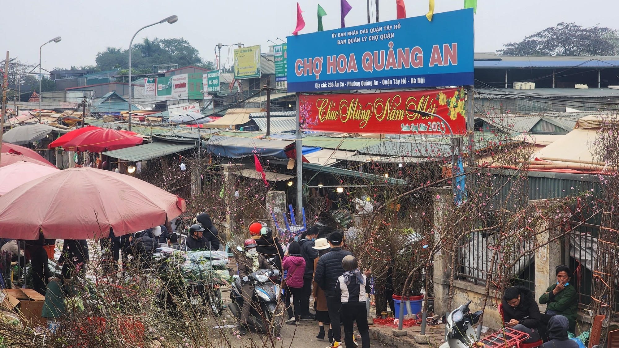 Từ trước tới nay, chợ hoa Quảng Bá luôn được coi là nơi mua bán hoa tươi lớn nhất Thủ đô và là chợ hoa đêm duy nhất ở Hà Nội.