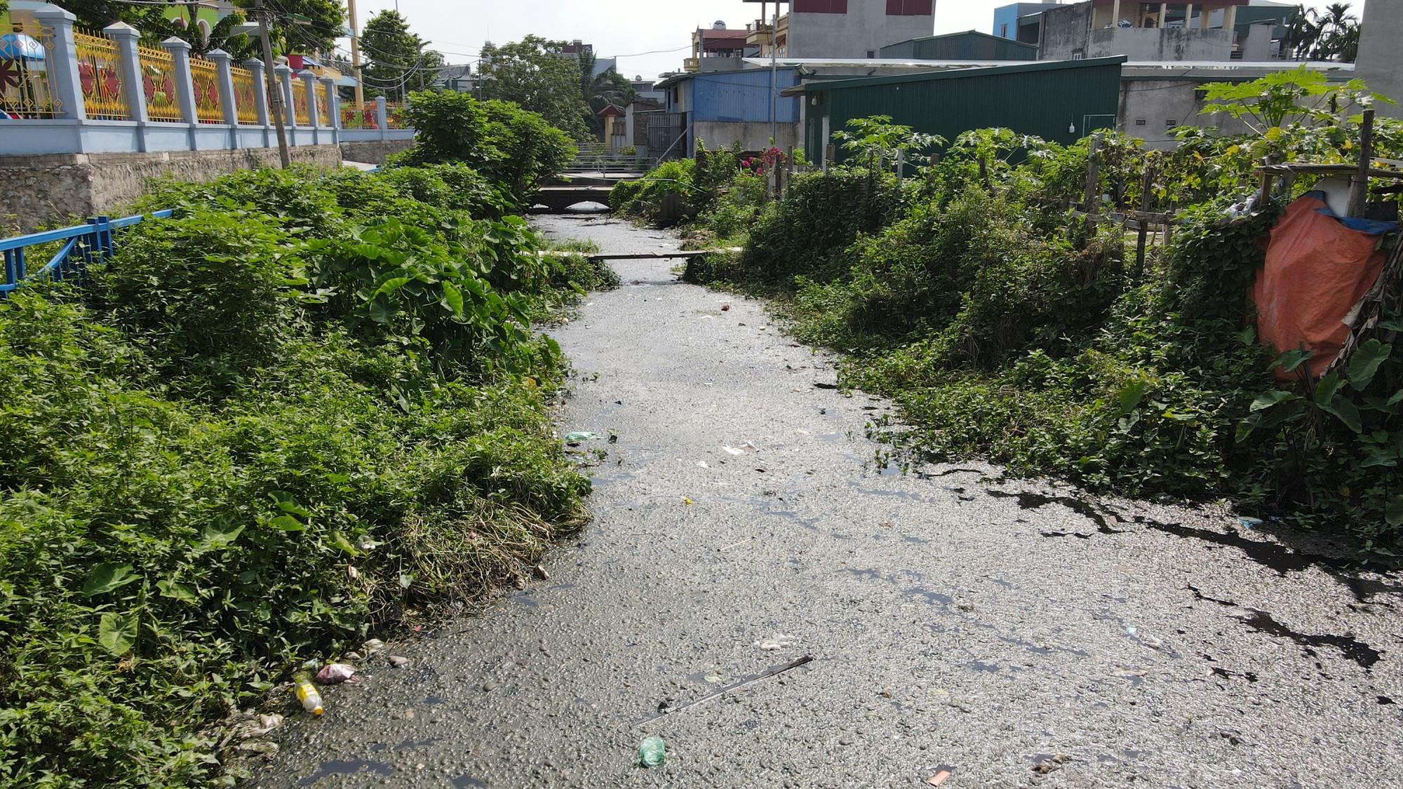 Mặt nước quánh đặc bởi váng và chất thải. Phía dưới, nước cũng đen sì và hôi hám... Anh T., một người dân sinh sống tại thôn chia sẻ: "Trước tình hình dịch sốt xuất huyết đang phức tạp, tôi và người nhà rất lo lắng khi chung quanh thôn là những mương nước ứ đọng như thế này".