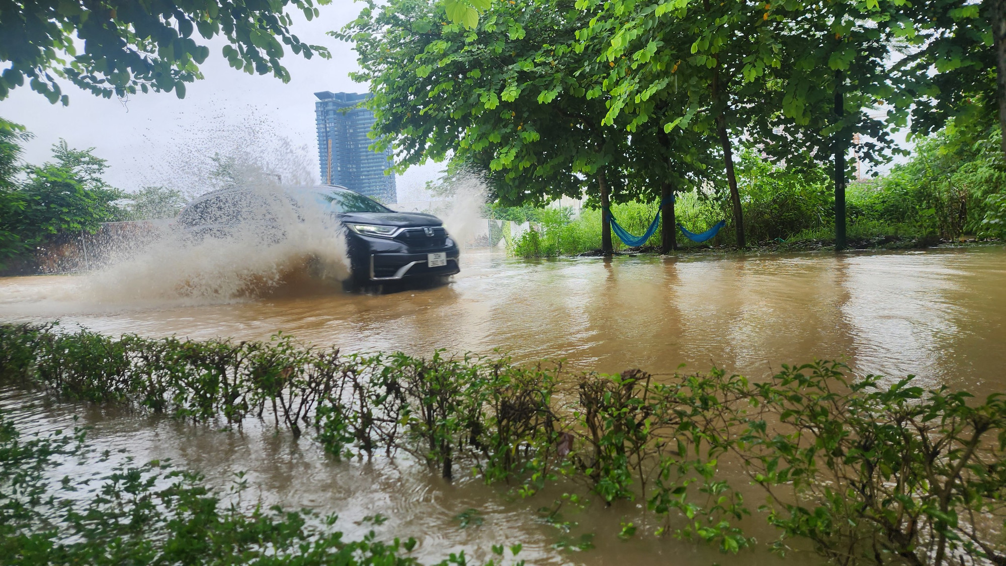 Tại thời điểm xảy ra mưa, Công ty đã thực hiện mở cửa phai của các hồ điều hòa như hồ Thiền Quang, Bảy mẫu, Đống Đa, Tân Mai… và vận hành hợp lý các trạm bơm đầu mối Yên Sở, Đồng Bông 1, Đồng Bông 2, Cổ Nhuế… để hạ mức nước trên hệ thống theo đúng quy định; triển khai công tác ứng trực, giải quyết thoát nước, tua vớt rác.