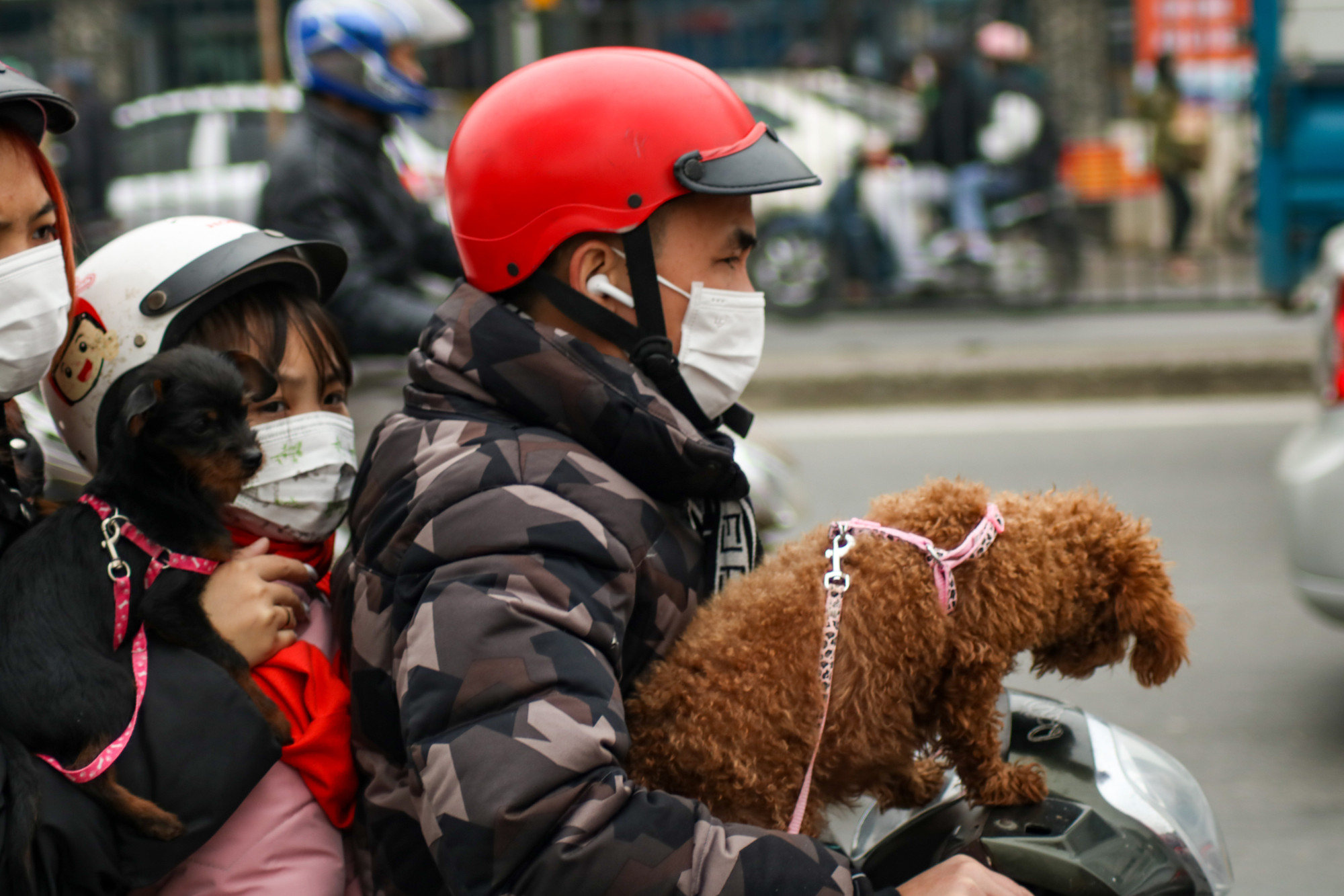 Những gia đình nhỏ vì cuộc sống mưu sinh phải rời xa quê nhà, nay đã bắt đầu chuyến đi trở về để đoàn tụ cùng người thân.