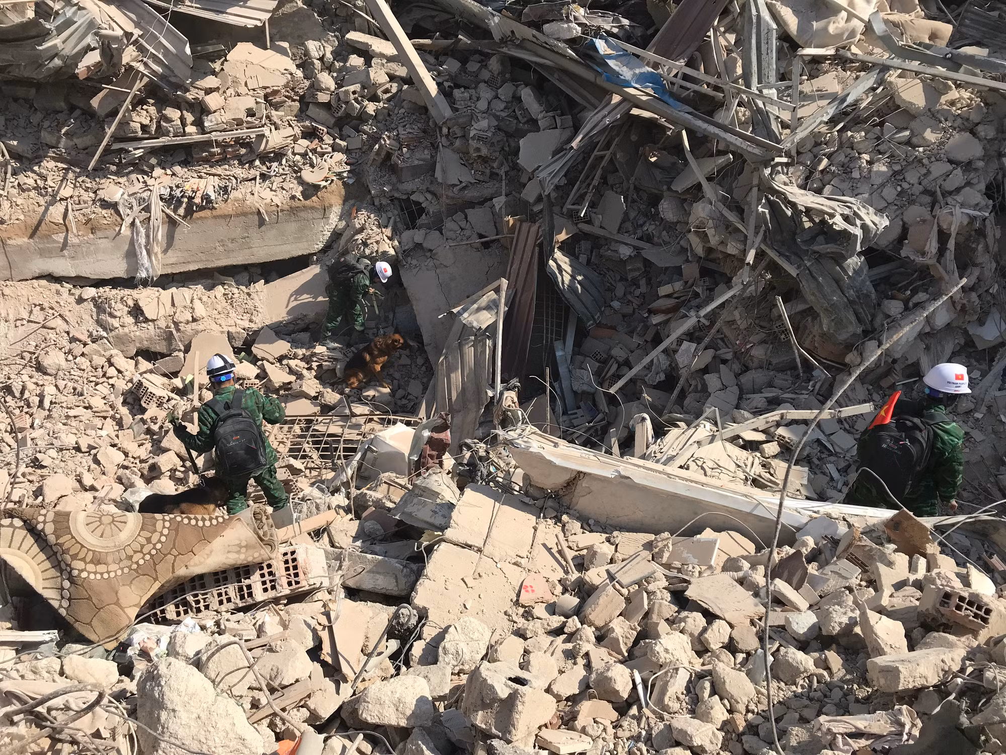 Chó nghiệp vụ làm nhiệm vụ tìm kiếm các nạn nhân của trận động đất tại Hatay (Thổ Nhĩ Kỳ).