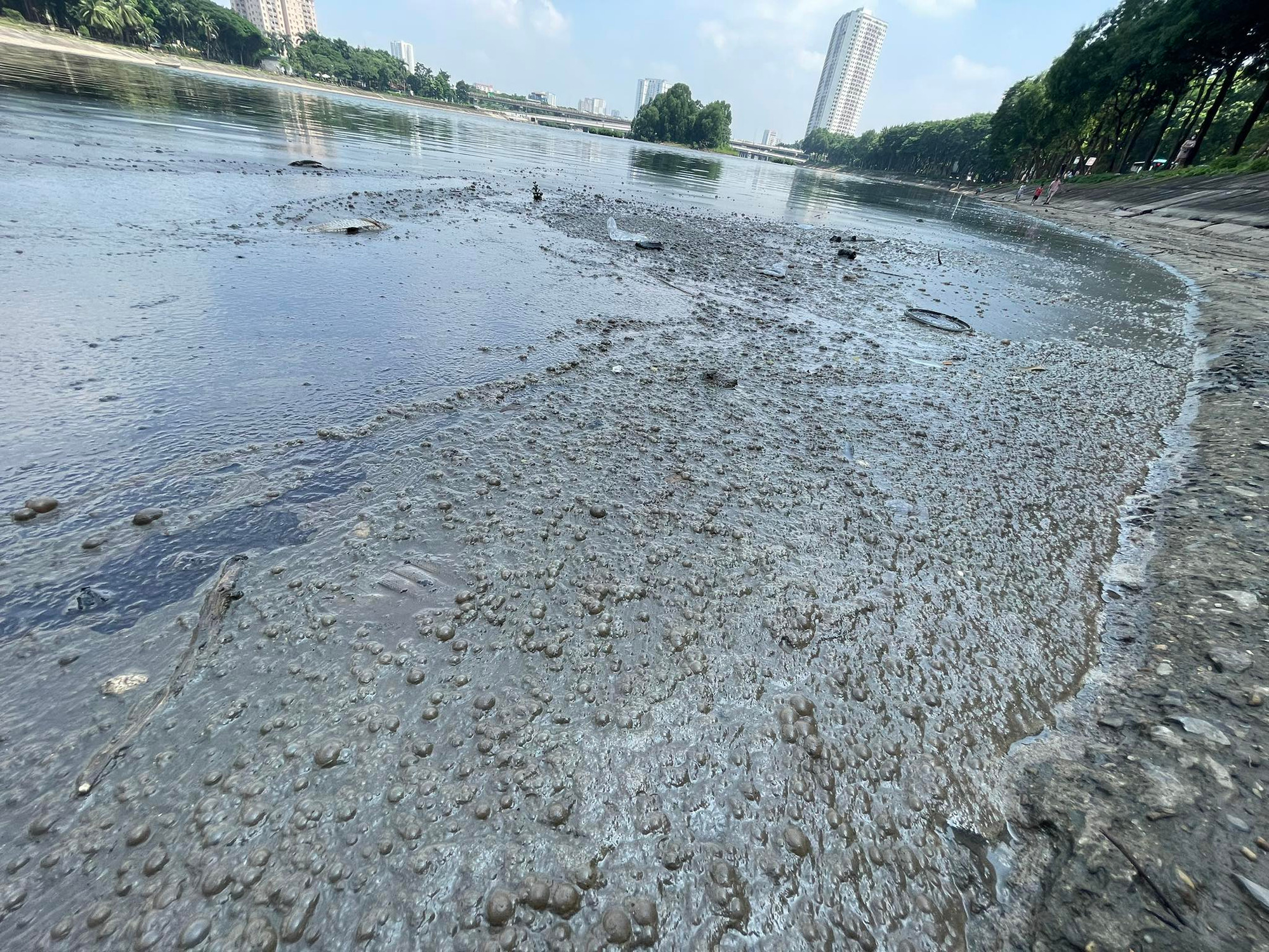 Theo nguồn tin của Báo Nhân Dân, tình trạng dầu thải bị "đổ trộm" ra hồ Linh Đàm được phát hiện lần đầu tiên vào sáng 27/9. Theo nguồn tin của Báo Nhân Dân, tình trạng dầu thải bị "đổ trộm" ra hồ Linh Đàm được phát hiện lần đầu tiên vào sáng 27/9.