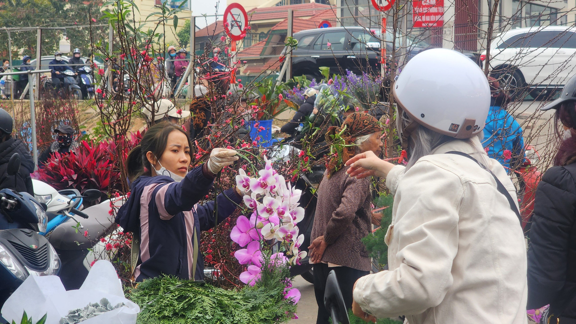 Rất nhiều khách cũng hào hứng với hoa lan.