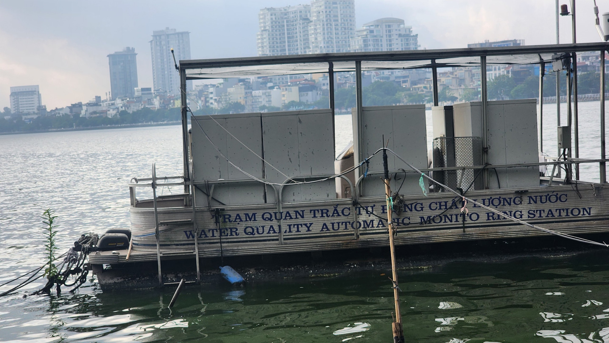 Theo Công ty TNHH MTV Thoát nước Hà Nội, đã xác định một số nguyên nhân gây ra hiện tượng cá chết ở hồ Tây, bao gồm: thay đổi thời tiết, thiếu không khí và hàm lượng oxy trong nước giảm, chất lượng nước bị ô nhiễm và chứa khí độc (do bùn, tảo...).