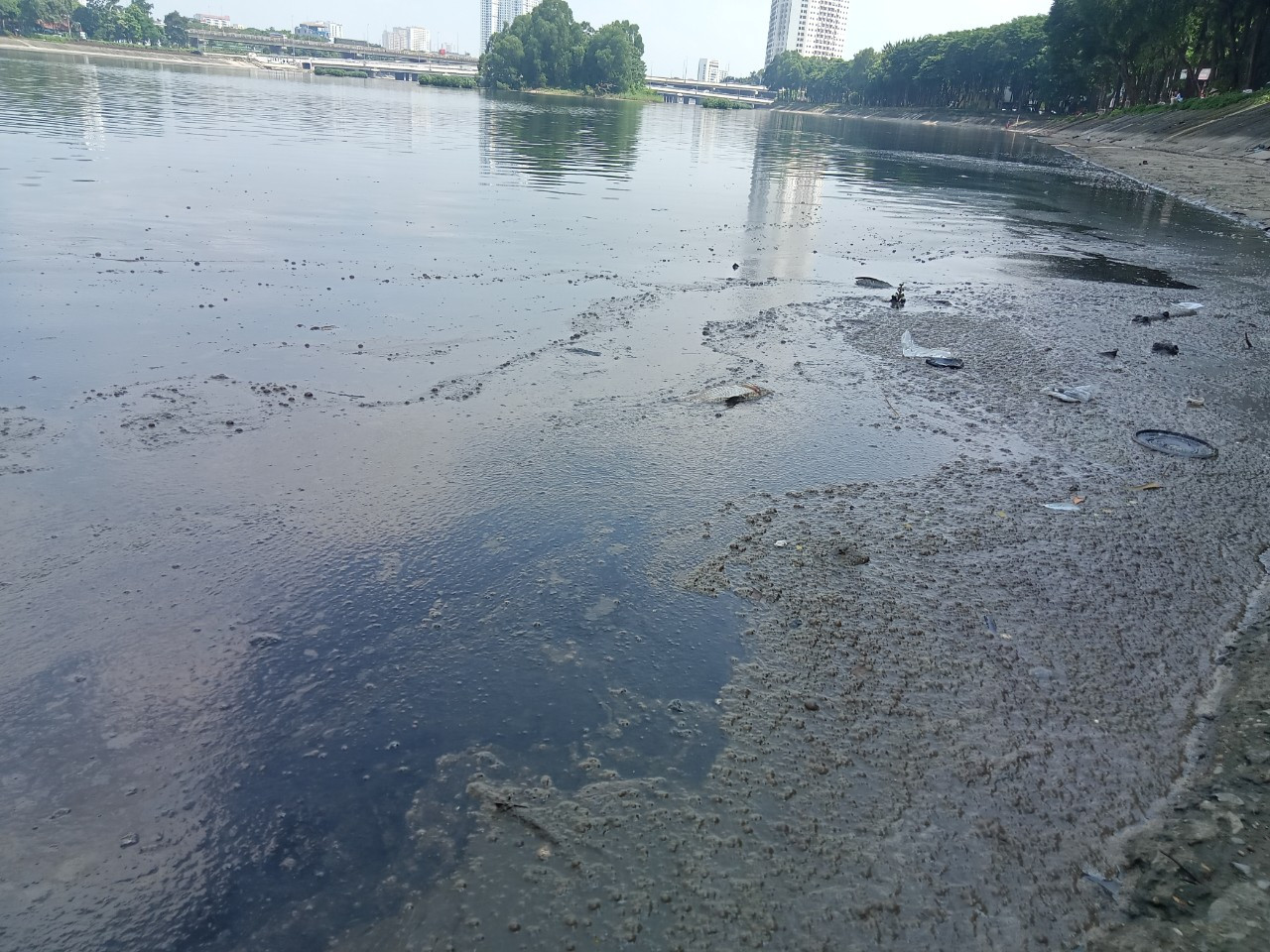 Vệt dầu loang sát ven hồ. (Ảnh chụp trưa 1/10) Vệt dầu loang sát ven hồ. (Ảnh chụp trưa 1/10)