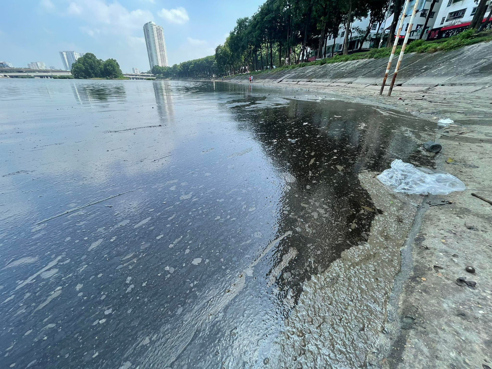 Theo ghi nhận của phóng viên, khu vực dầu loang kéo dài khoảng 10m trên mặt hồ. Dầu đọng dày trên mặt nước bốc mùi váng vất, mặc dù đã được thu gom một phần vào các ngày trước đó. Theo ghi nhận của phóng viên, khu vực dầu loang kéo dài khoảng 10m trên mặt hồ. Dầu đọng dày trên mặt nước bốc mùi váng vất, mặc dù đã được thu gom một phần vào các ngày trước đó.