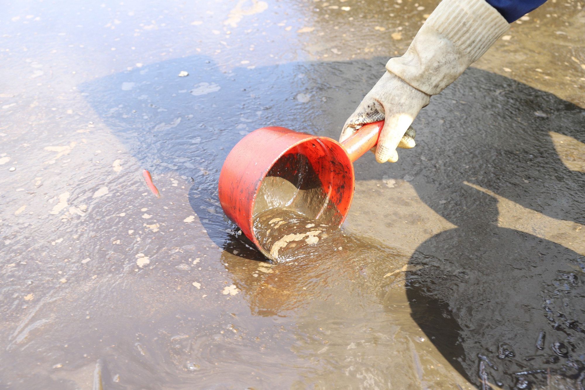 Dầu lẫn với bùn đất đặc quánh...