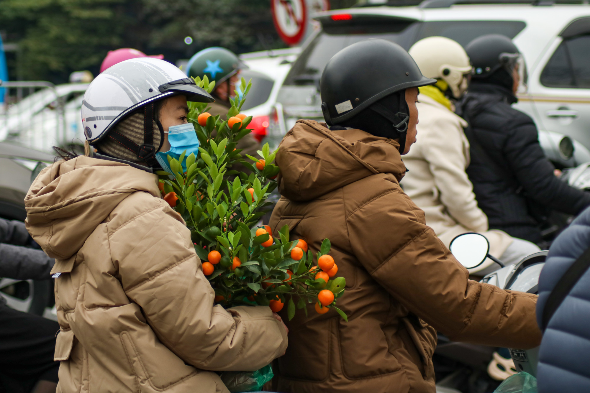 Người dân mang theo quất về quê nhằm thể hiện mong ước gia đình của mình sẽ luôn gặp nhiều may mắn và tài lộc.