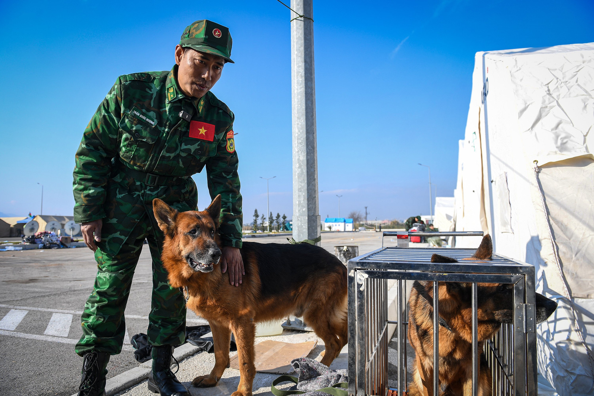 Trong ngày cuối cùng ở Hatay, Pocka được hưởng đặc quyền... không bị nhốt trong lồng. Trong ngày cuối cùng ở Hatay, Pocka được hưởng đặc quyền... không bị nhốt trong lồng.