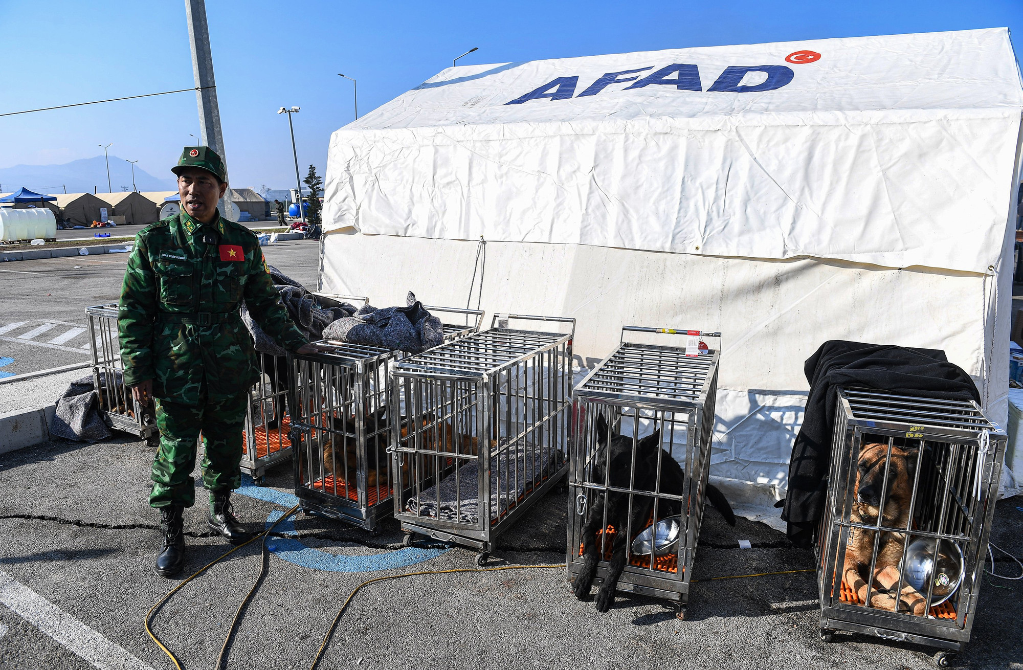 Vị trí đặt các chuồng chó nghiệp vụ phải đảm bảo kín gió... Vị trí đặt các chuồng chó nghiệp vụ phải đảm bảo kín gió...