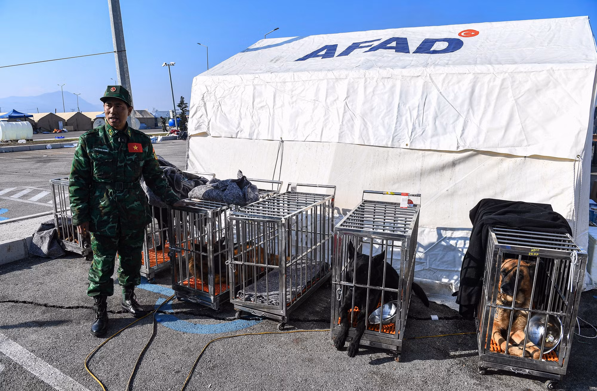 Vị trí đặt các chuồng chó nghiệp vụ phải đảm bảo kín gió...