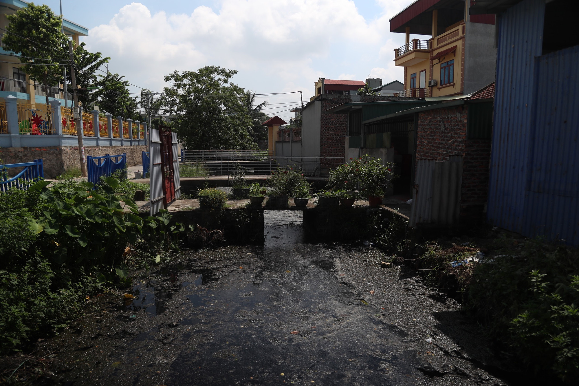 Theo Trung tâm kiểm soát bệnh tật Hà Nội, thôn Vĩnh Ninh đang có chỉ số bọ gậy (BI) ở mức 35. Trong khi đó, các chuyên gia cảnh báo vùng nguy cơ cao có dịch sốt xuất huyết là vùng có chỉ số bọ gậy (BI) từ 20 trở lên.