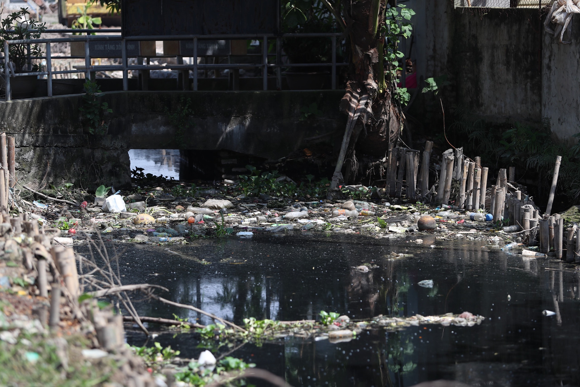 Vừa qua, Hà Nội cũng đã yêu cầu Ủy ban nhân dân các quận, huyện, thị xã triển khai chiến dịch diệt lăng quăng, bọ gậy, bảo đảm tất cả các khu vực, các hộ gia đình tại vùng có dịch bệnh và có nguy cơ phải được kiểm tra, giám sát; tăng cường kiểm tra, giám sát công tác phòng, chống sốt xuất huyết trên địa bàn quản lý. Không để tình trạng lơ là, chủ quan trong công tác lãnh đạo, chỉ đạo thực hiện.