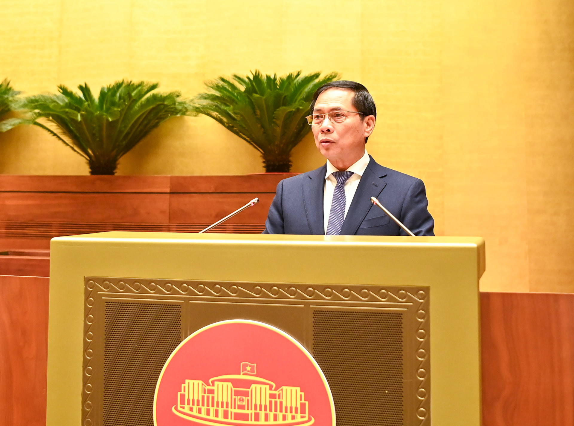 Bộ trưởng Ngoại giao Bùi Thanh Sơn báo cáo tại buổi gặp mặt.