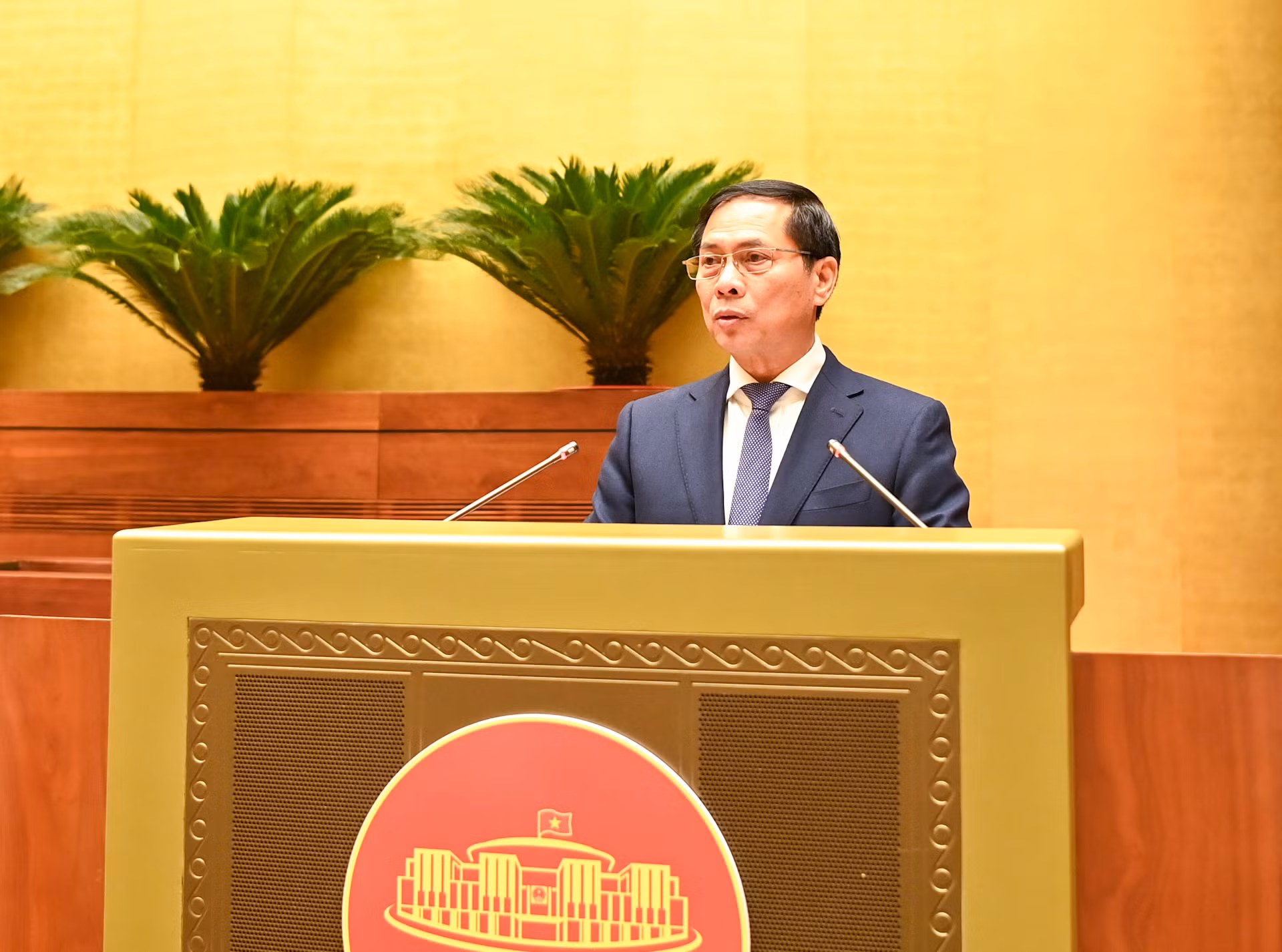 Bộ trưởng Ngoại giao Bùi Thanh Sơn báo cáo tại buổi gặp mặt.