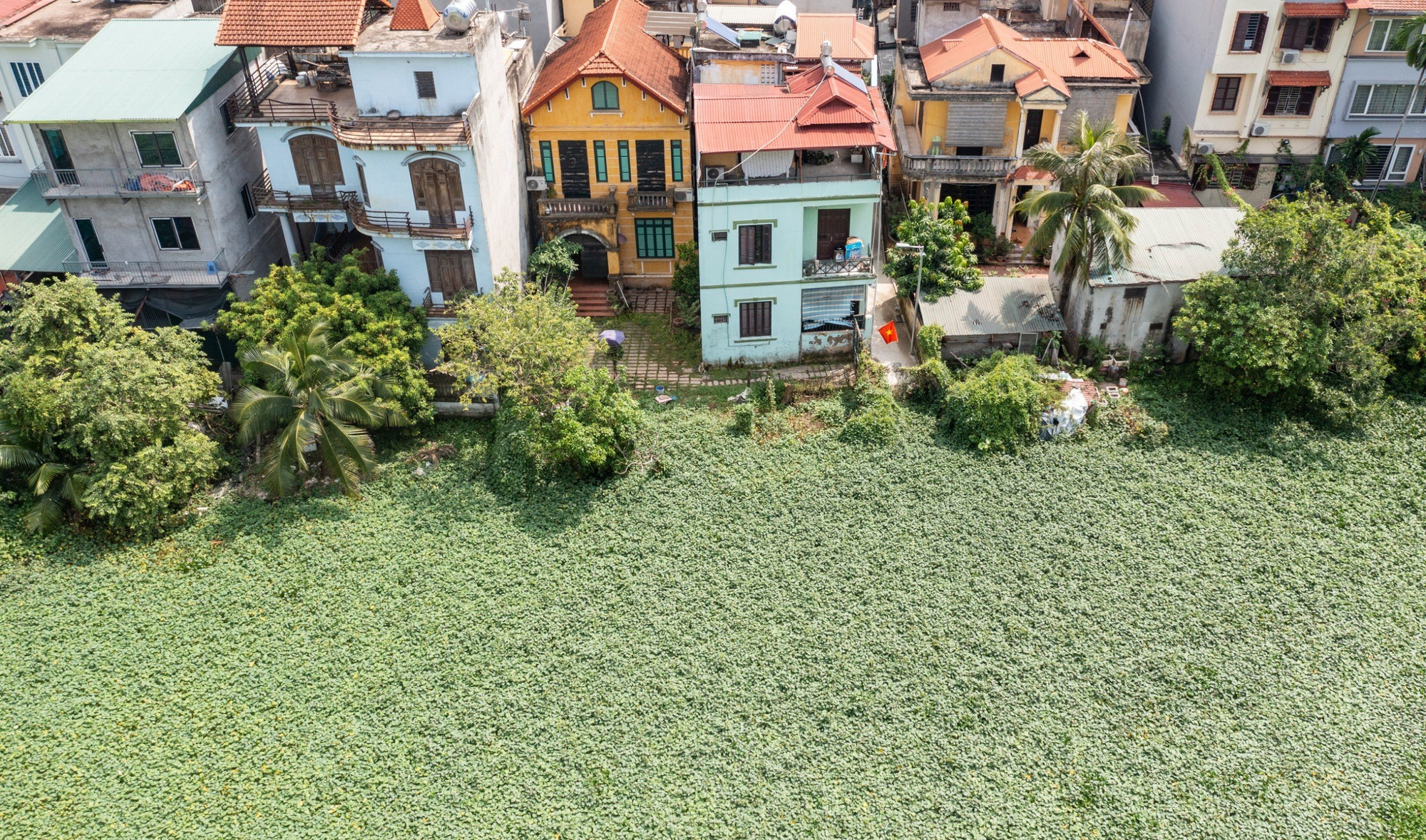 Dự án được kỳ vọng sẽ giúp các hộ dân quanh khu vực hồ Tứ Liên thoát khỏi cảnh bị úng ngập mỗi khi mưa lớn về.