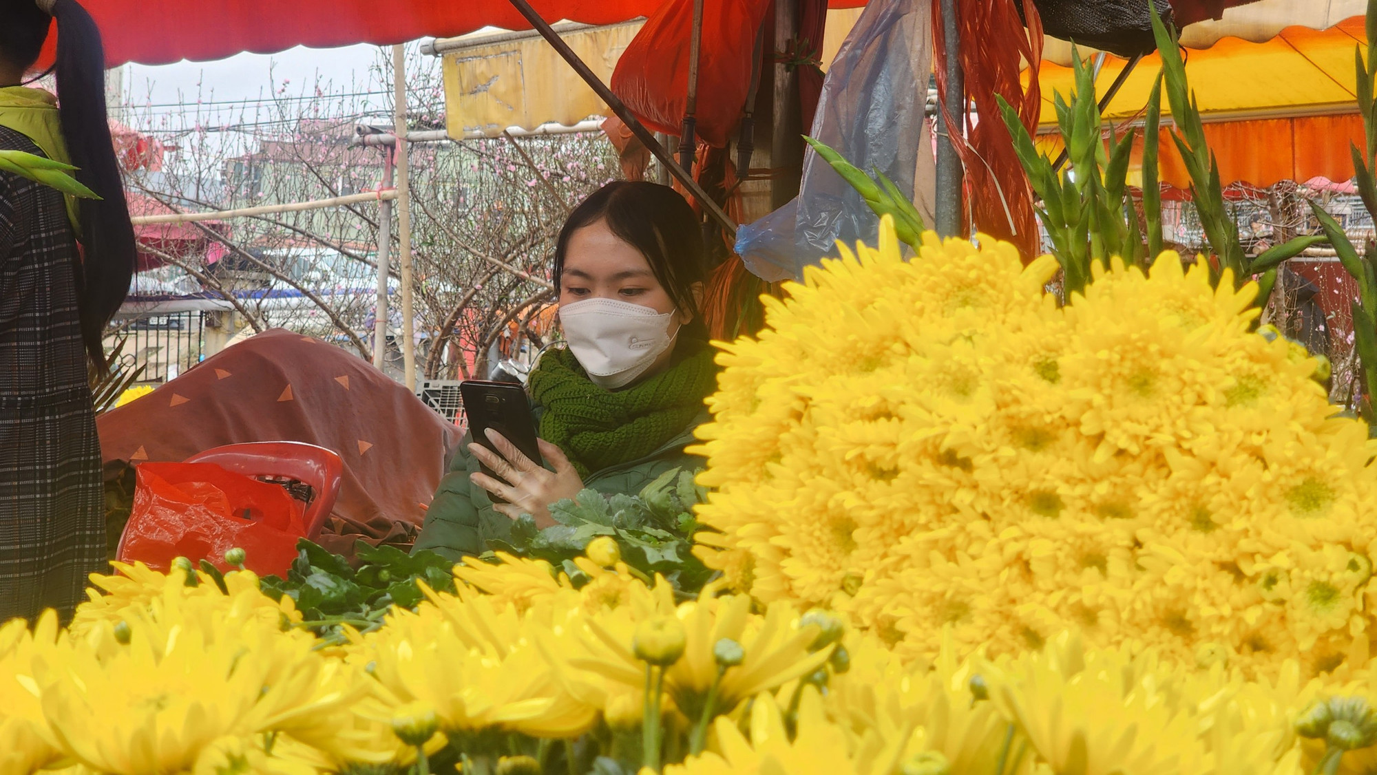 Tết cũng chẳng thể thiếu hoa cúc, loài hoa tượng trưng cho ước mong phú quý, tài lộc.