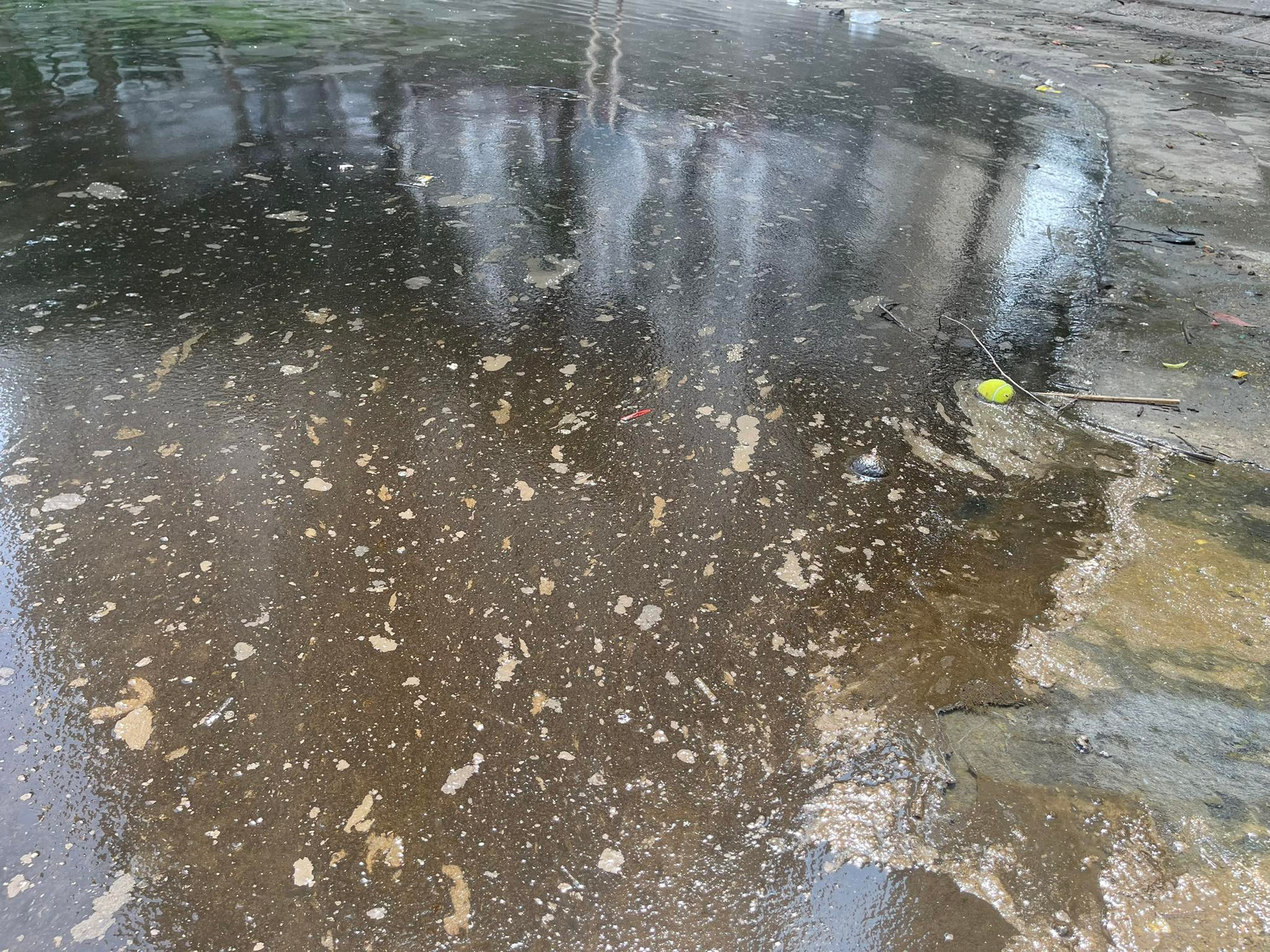 Mặc dù đã được thu gom, nhưng tới sáng nay, 1/10, tình trạng dầu loang vẫn tiếp tục xuất hiện. Mặc dù đã được thu gom, nhưng tới sáng nay, 1/10, tình trạng dầu loang vẫn tiếp tục xuất hiện.