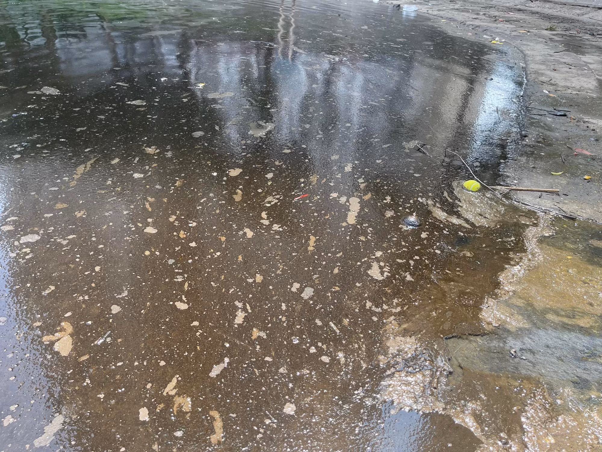 Mặc dù đã được thu gom, nhưng tới sáng nay, 1/10, tình trạng dầu loang vẫn tiếp tục xuất hiện.