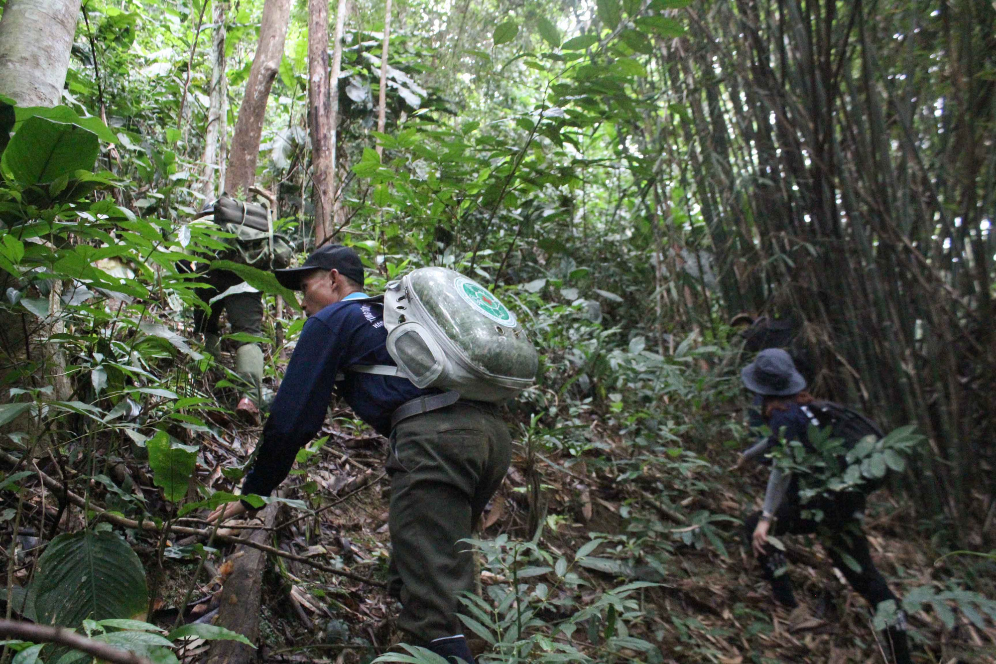 Vào thời điểm lượng mưa gia tăng tại Bắc bộ, tại Khu Bảo tồn Thiên nhiên Xuân Liên, trời mù giông cả ngày, nếu mưa chắc chắn sẽ làm ảnh hưởng không nhỏ đến công tác tái thả. Các thành viên đoàn cõng rùa trên lưng, leo núi đất trơn trượt sau cơn mưa hôm trước. (Ảnh: Trung tâm Bảo tồn Thiên nhiên và Phát triển - CCD)