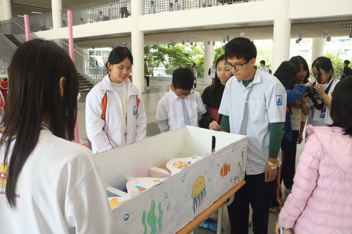 Những trò chơi mang chủ đề đại dương, môi trường sống