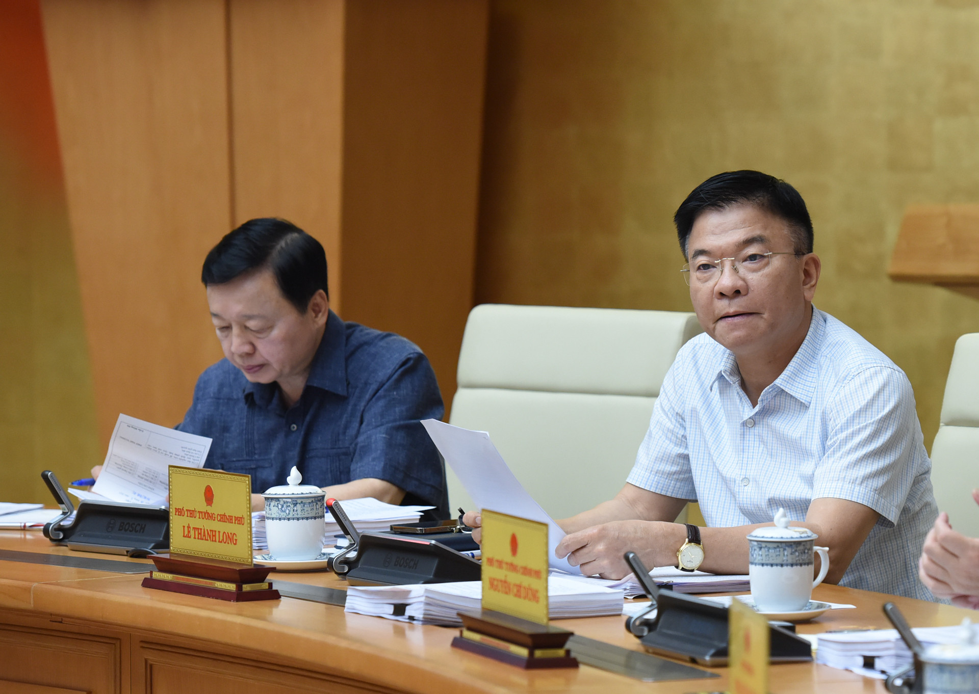 Phó Thủ tướng Lê Thành Long phát biểu.