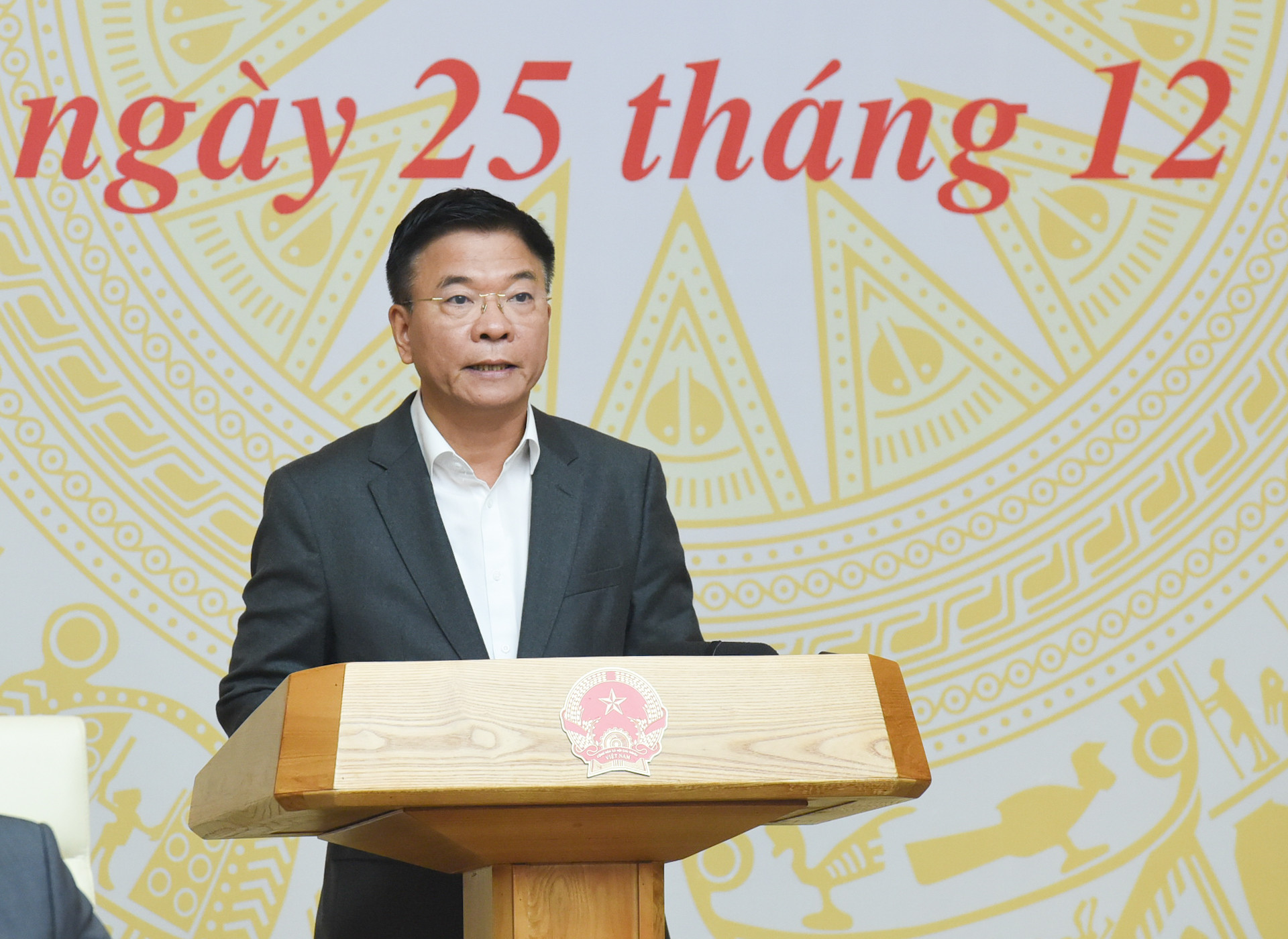 Phó Thủ tướng Lê Thành Long phát biểu.